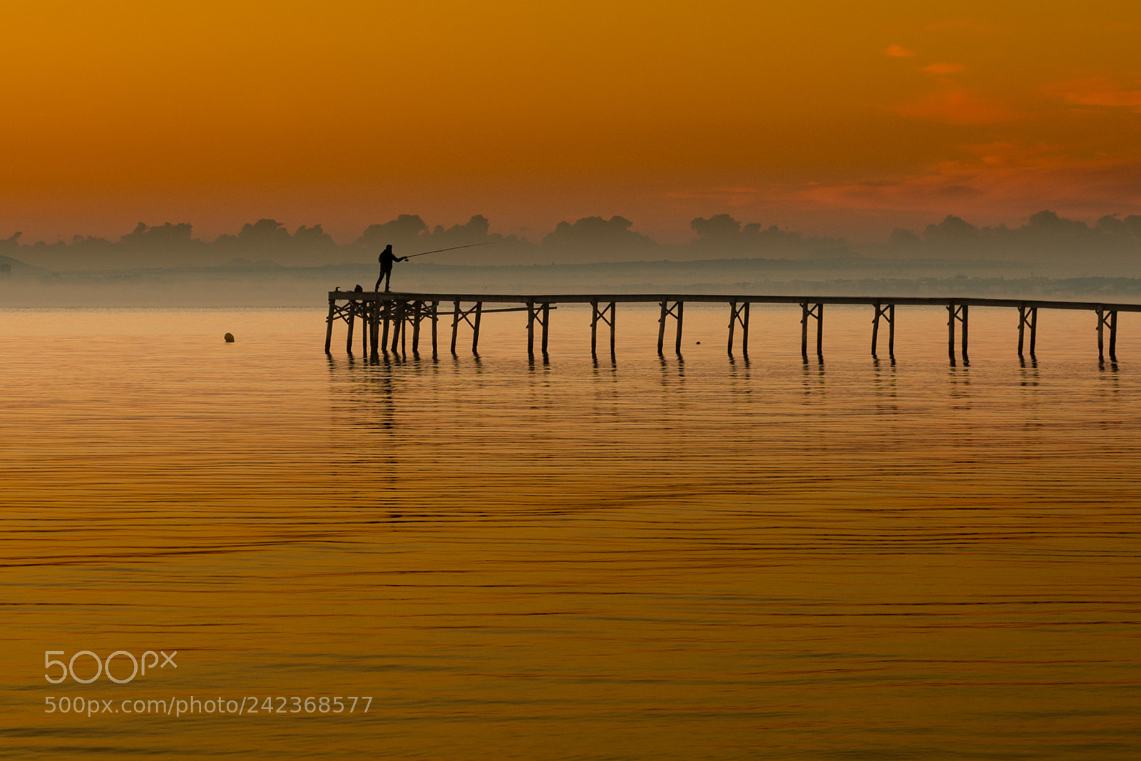 Nikon D800E sample photo. The fisherman photography