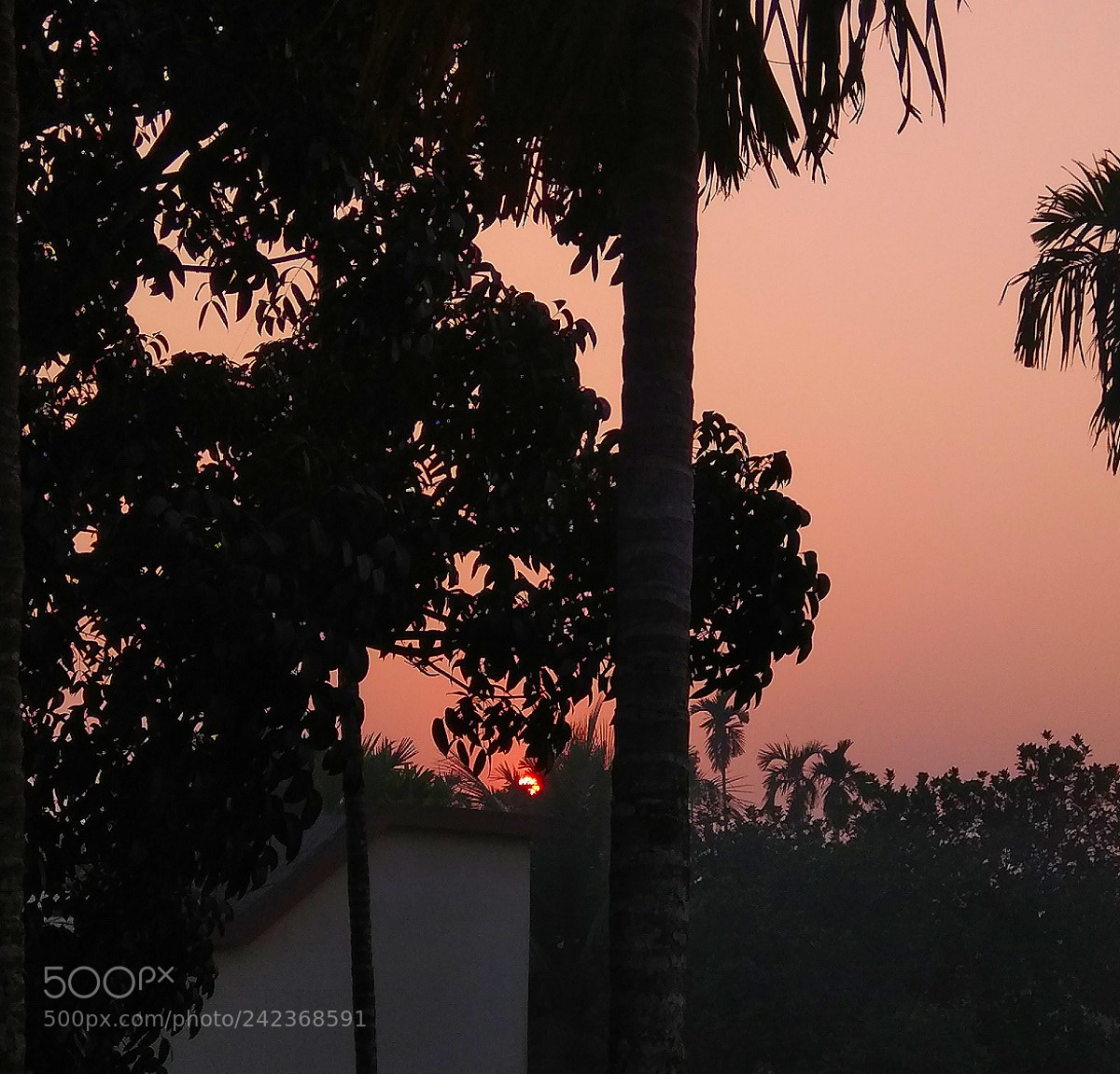 Xiaomi Redmi Note 4 sample photo. Red sky.. photography