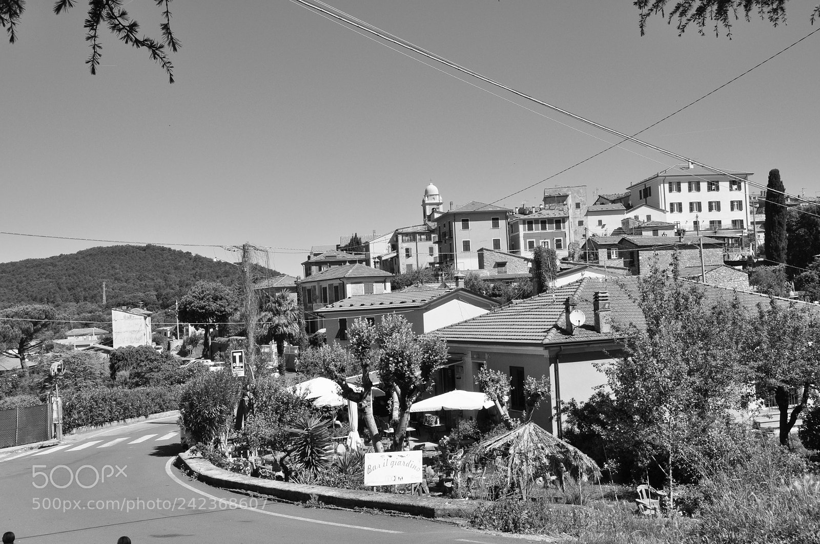 Nikon D90 sample photo. Untitled photography