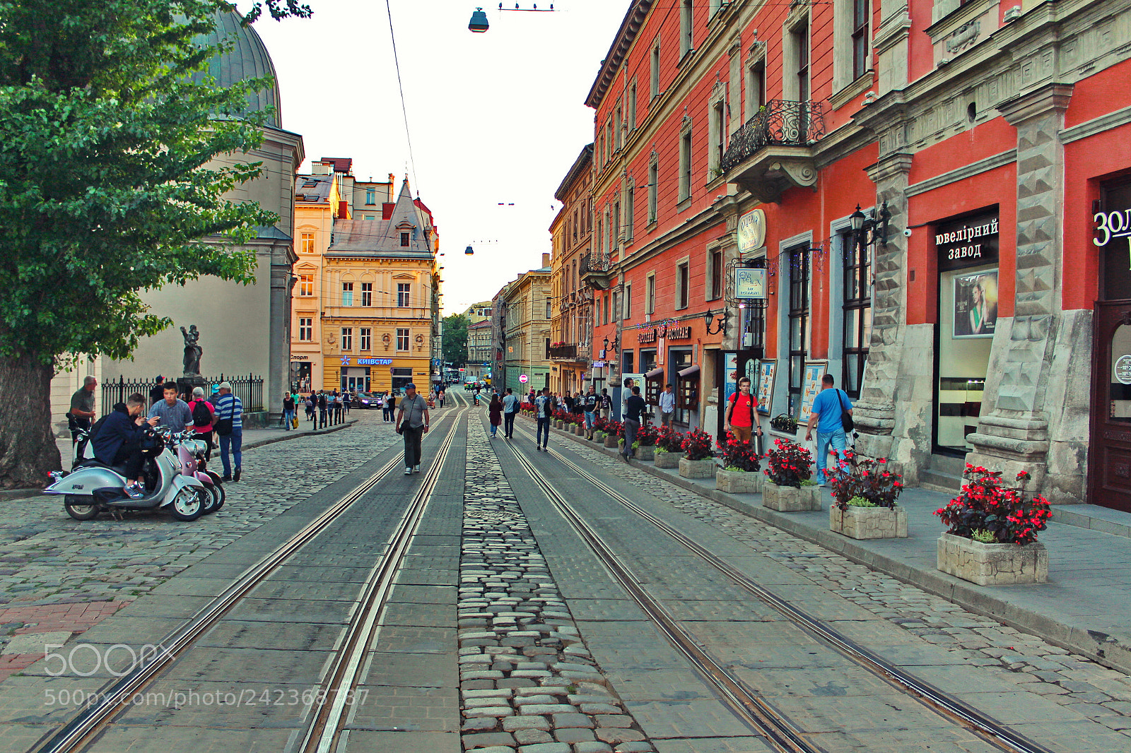 Canon EOS 650D (EOS Rebel T4i / EOS Kiss X6i) sample photo. Lviv photography