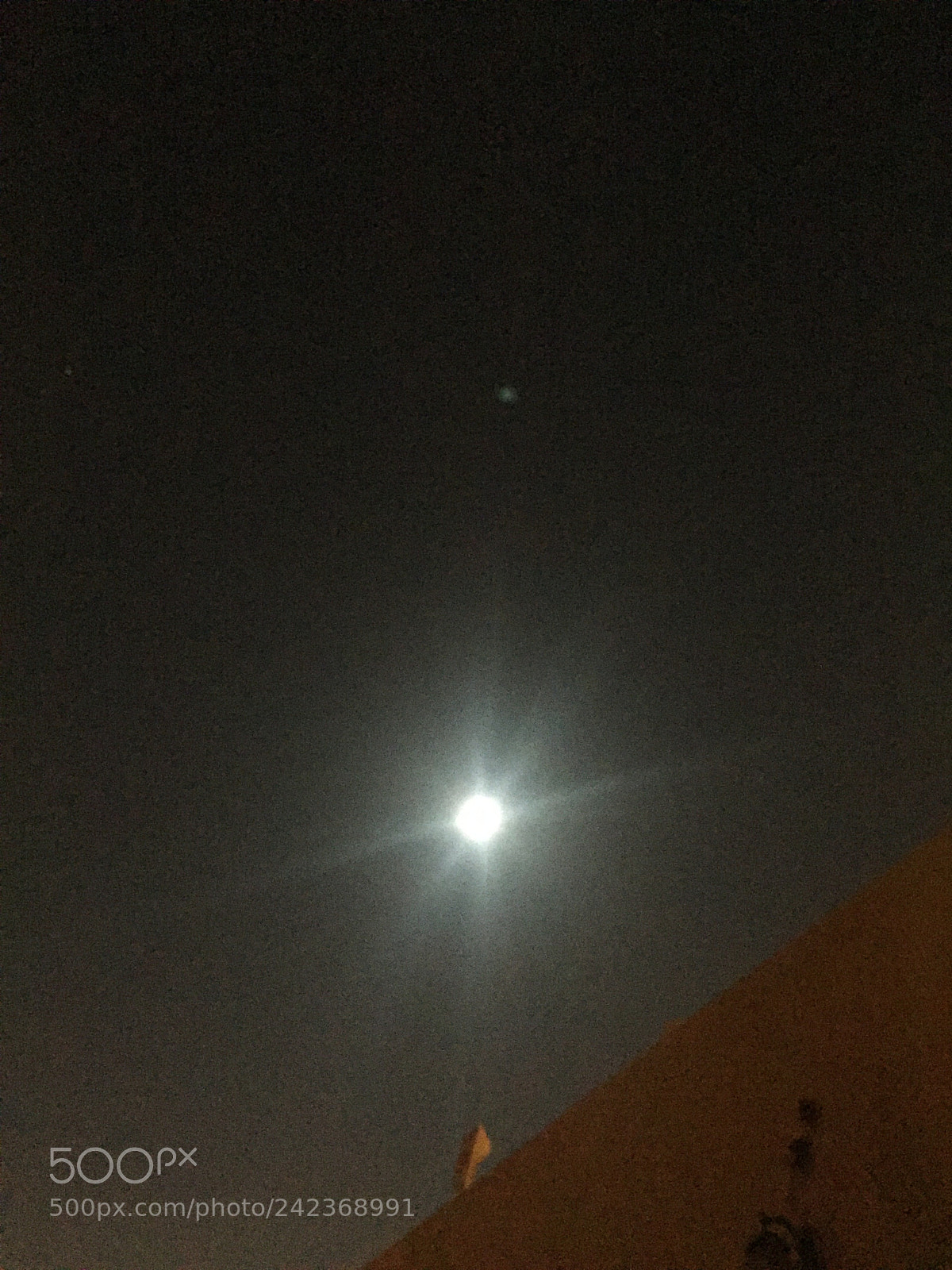 Apple iPhone 6 Plus sample photo. Untitled photography