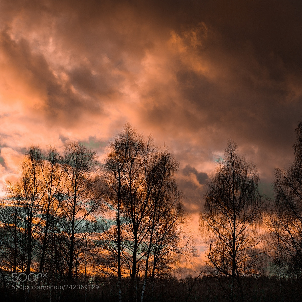 Nikon D700 sample photo. Pink sunset photography
