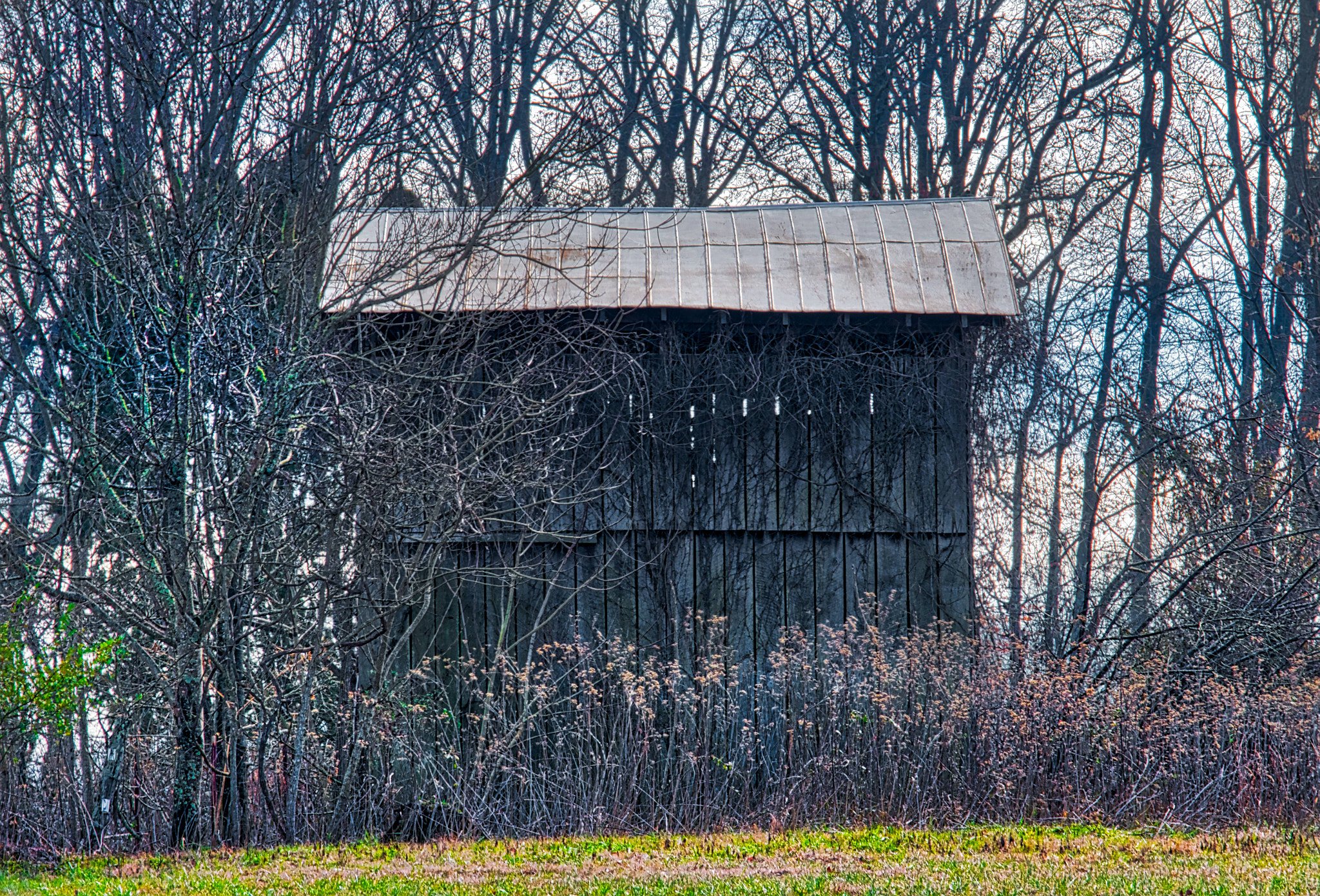 Nikon D5500 sample photo. Ag building photography