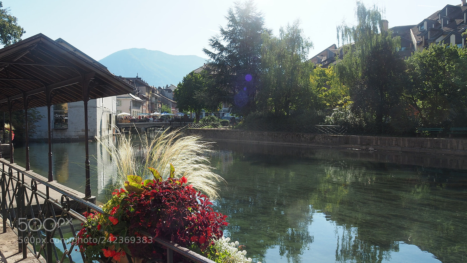 Olympus OM-D E-M5 II sample photo. Direction photography