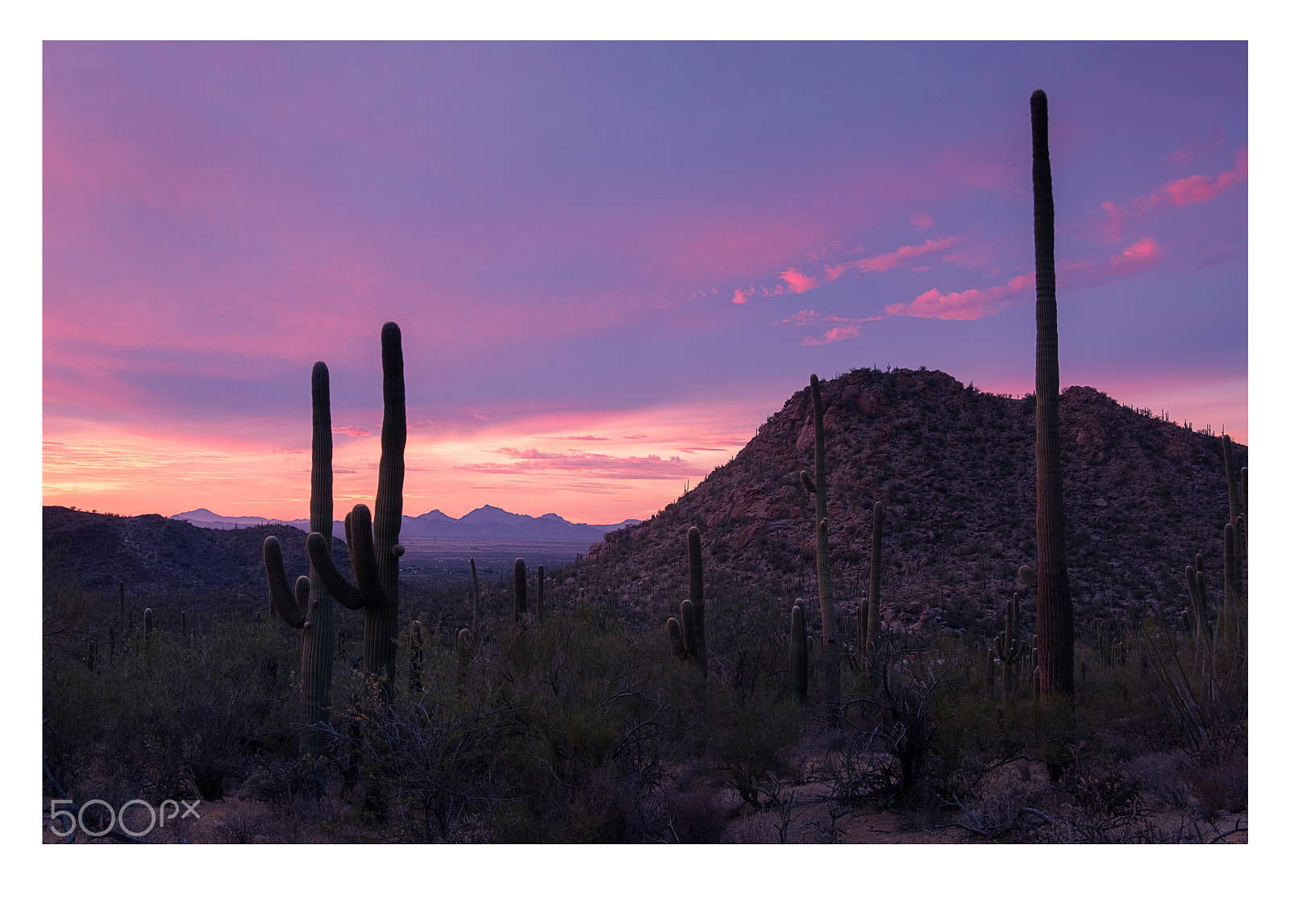 Fujifilm X-T2 sample photo. Saguaro national park photography