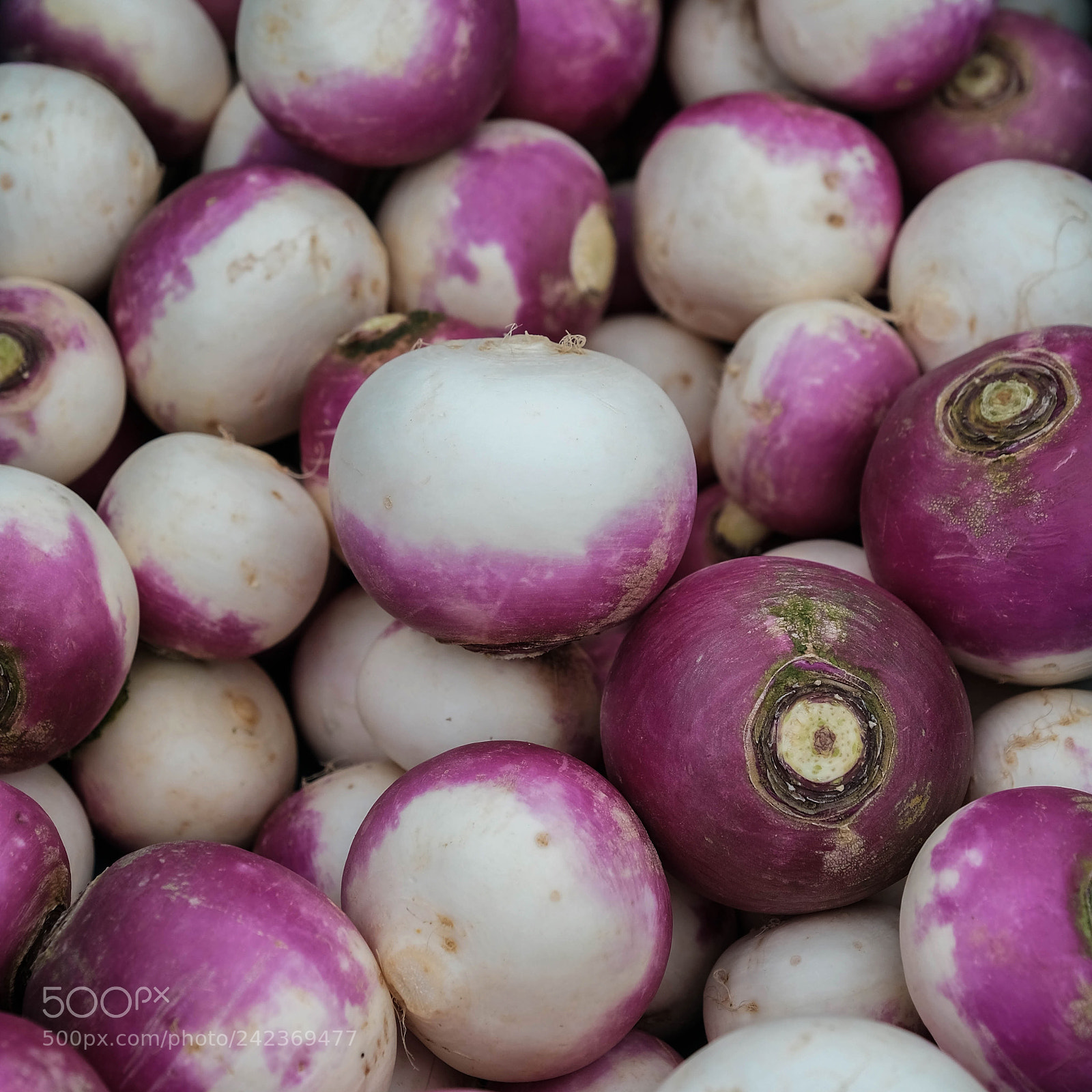 Fujifilm X-T2 sample photo. Veggies photography