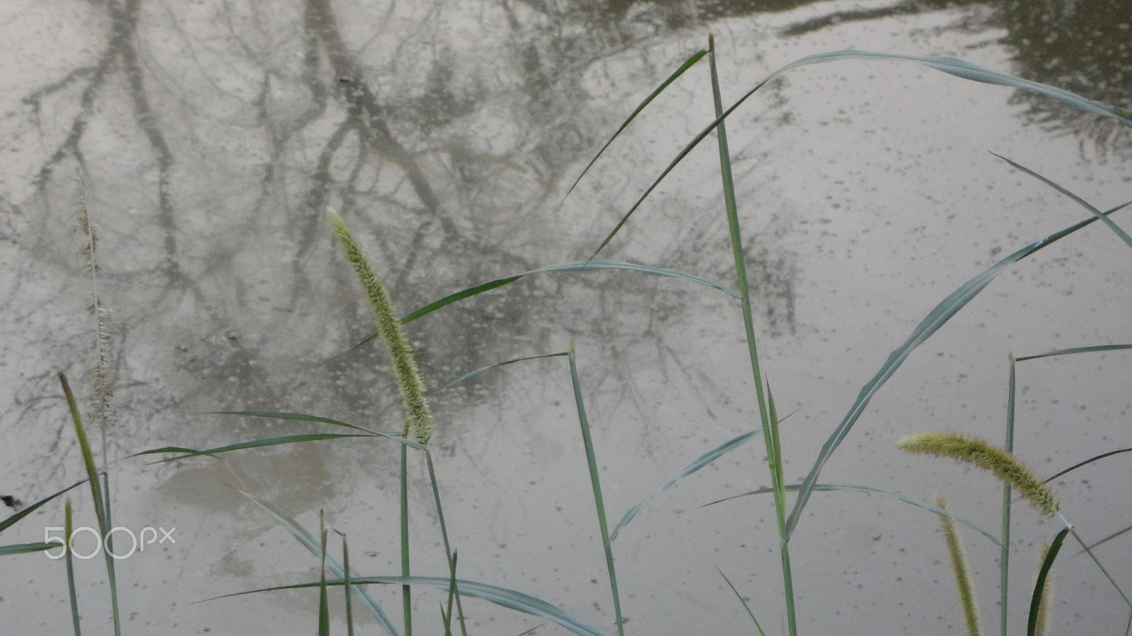 Sony Cyber-shot DSC-W570 sample photo. Slow fall photography