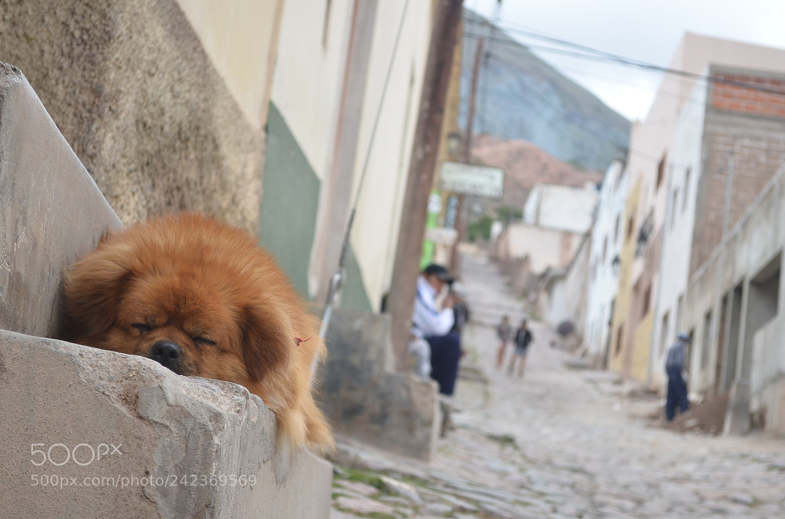 Nikon D5100 sample photo. A iruya ya! photography