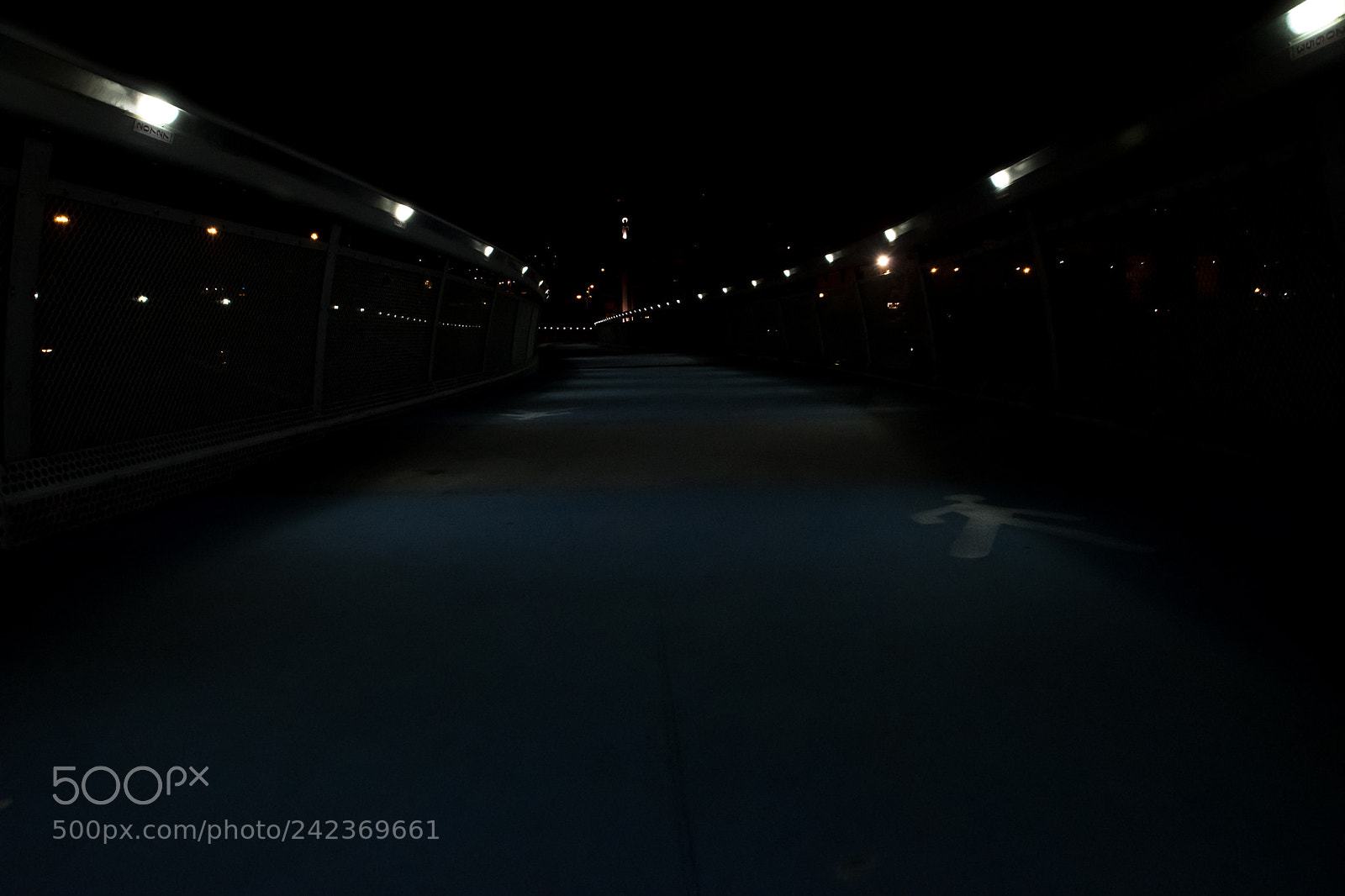 Nikon D500 sample photo. Only for man... photography