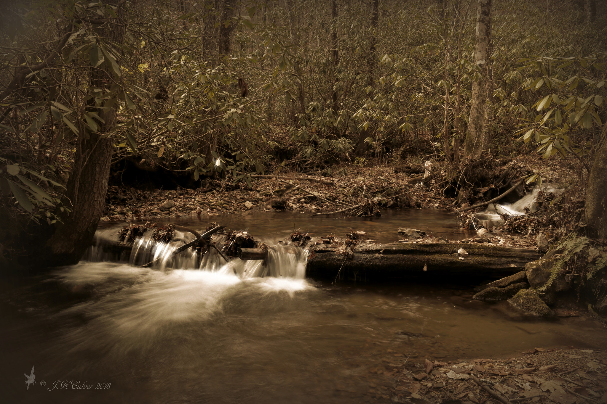 Canon EOS 77D (EOS 9000D / EOS 770D) sample photo. Gurley creek photography