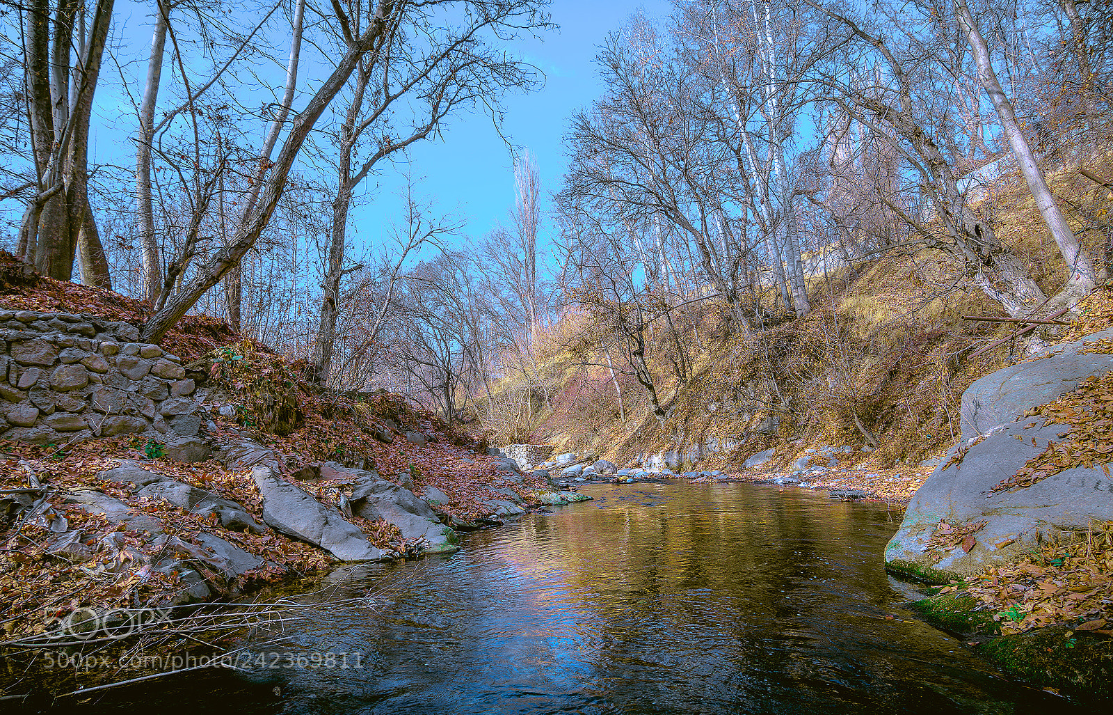 Nikon D7200 sample photo. Untitled photography