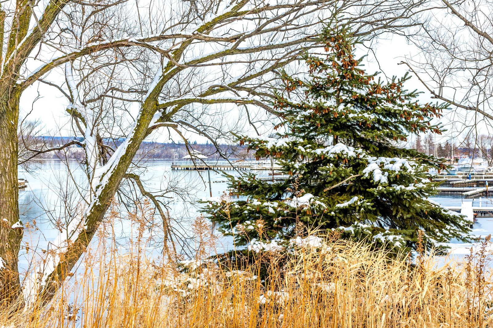 Nikon D7200 sample photo. Winter 33 photography