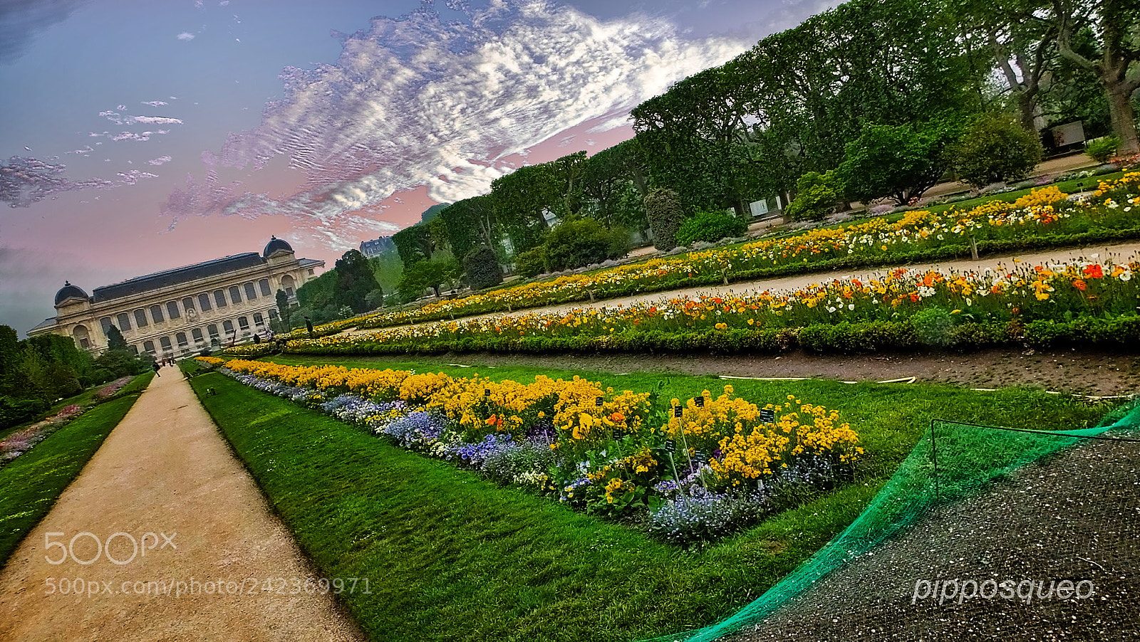 Fujifilm FinePix HS50 EXR sample photo. Jardin des plantes photography