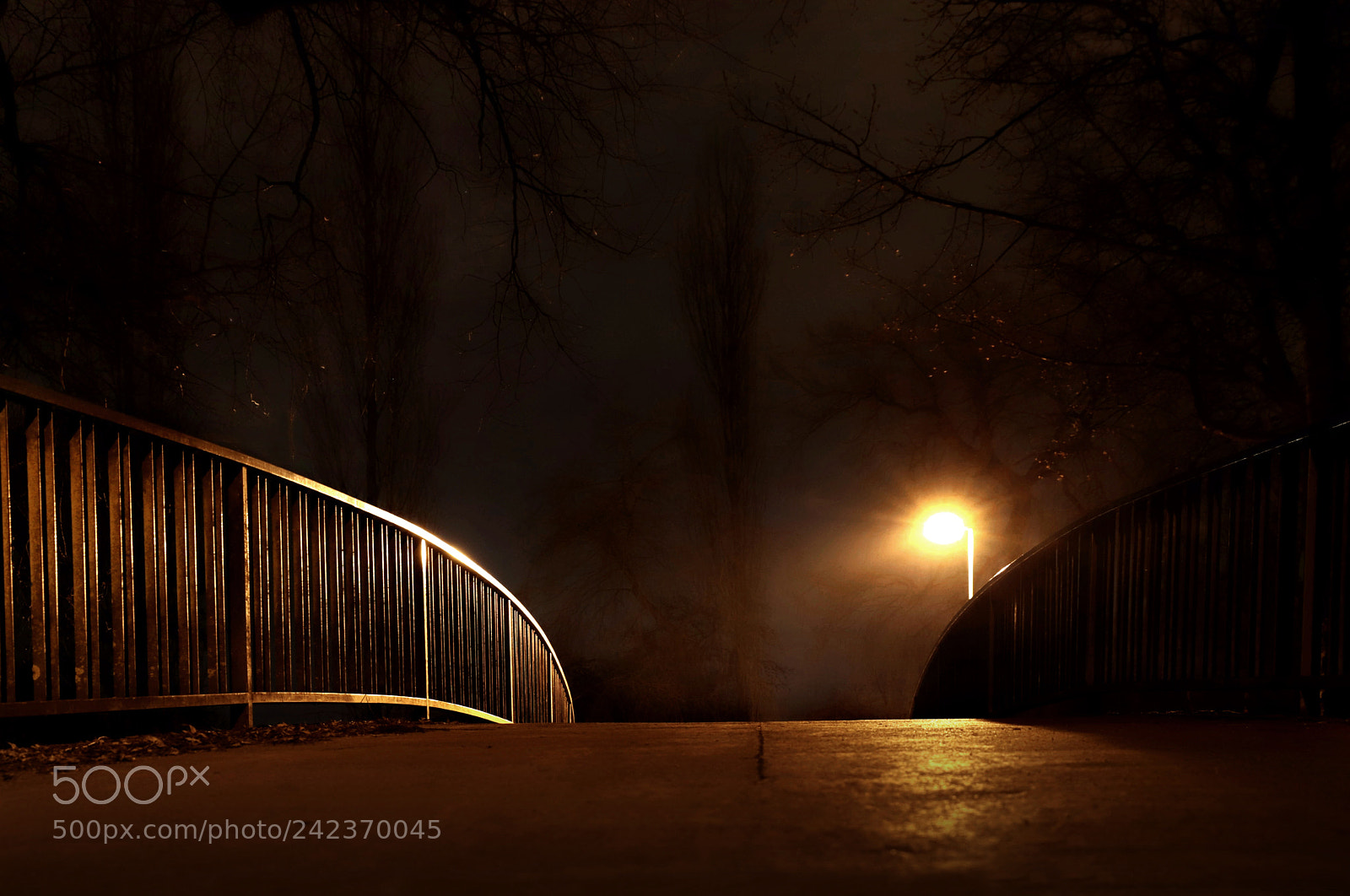 Canon EOS 6D Mark II sample photo. The bridge photography