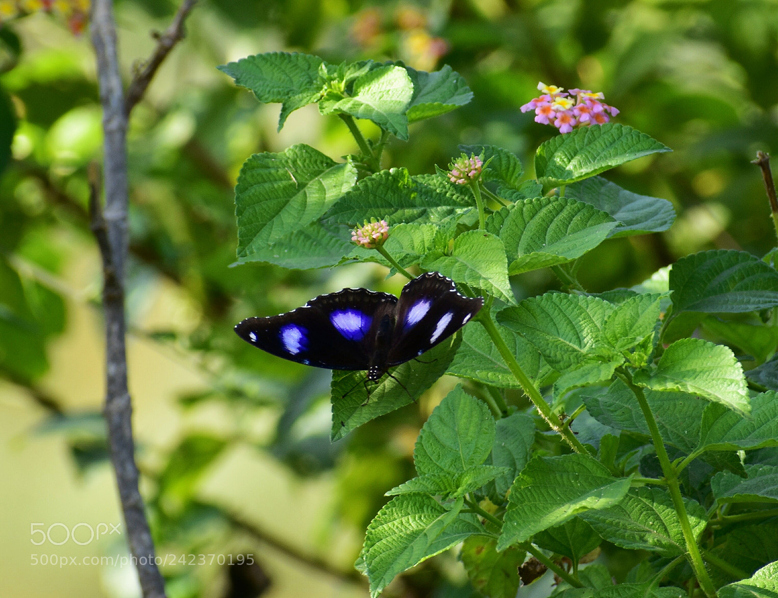Nikon D3400 sample photo. Img_20171105_164648.jpg photography