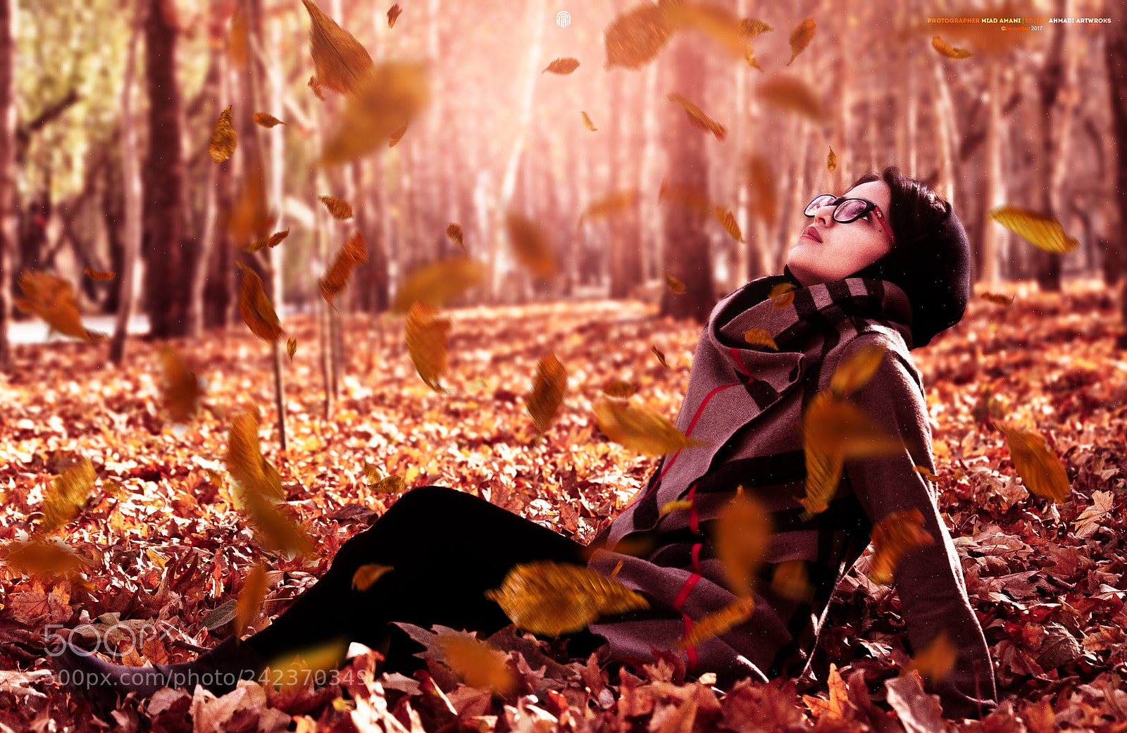 Nikon D90 sample photo. Autumn - fall photography