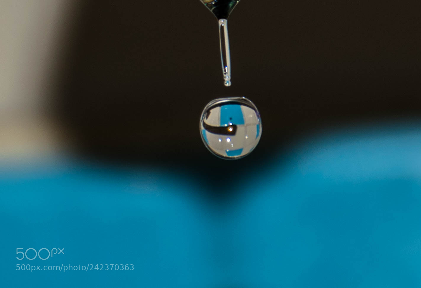 Nikon D5500 sample photo. Dslr photography