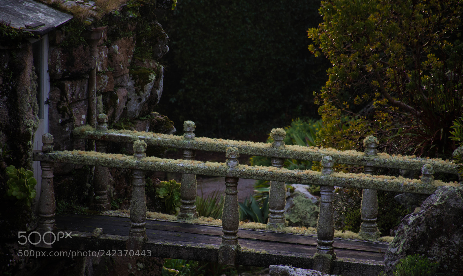 Nikon D5500 sample photo. Dslr photography