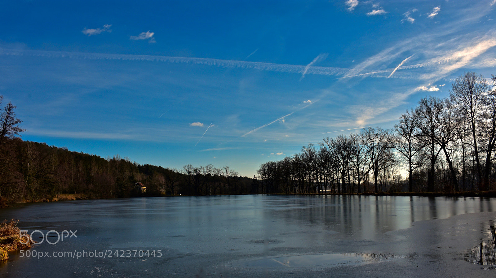 Nikon D7200 sample photo. Frozen photography