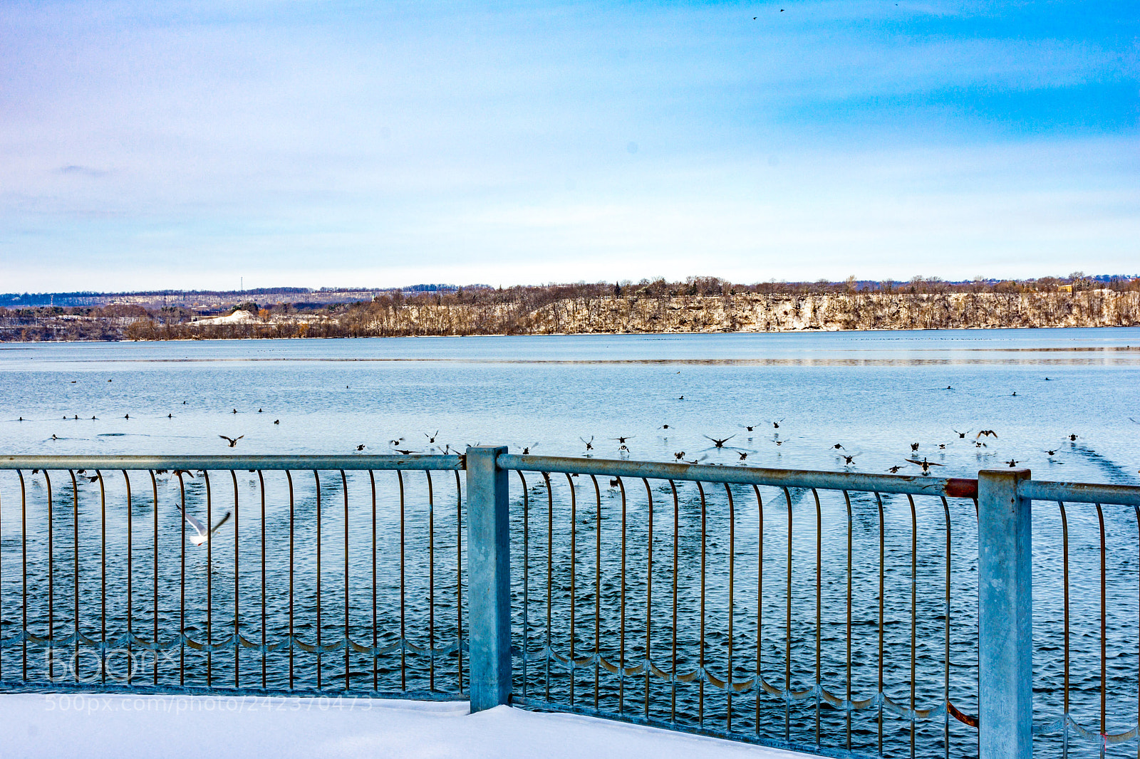 Nikon D7200 sample photo. Winter 115 photography