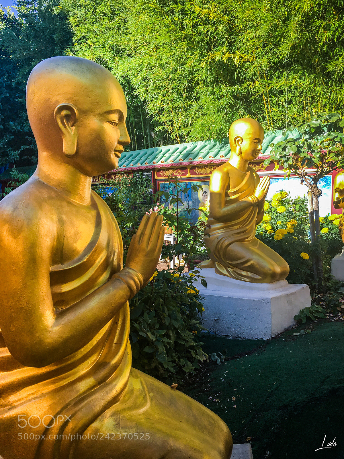 Apple iPhone 6s sample photo. Monk silence... photography