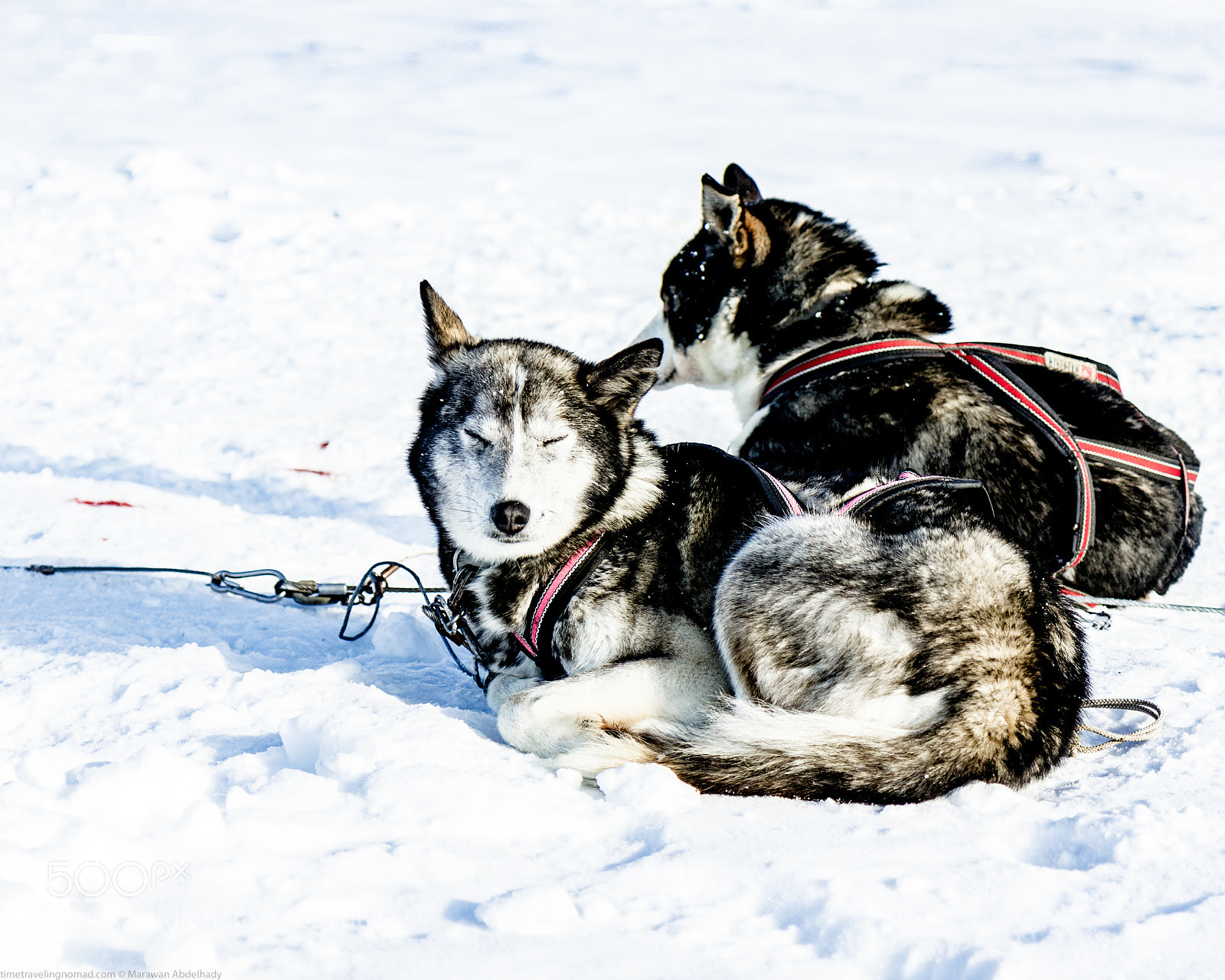 Canon EOS 550D (EOS Rebel T2i / EOS Kiss X4) sample photo. Svalvard photography