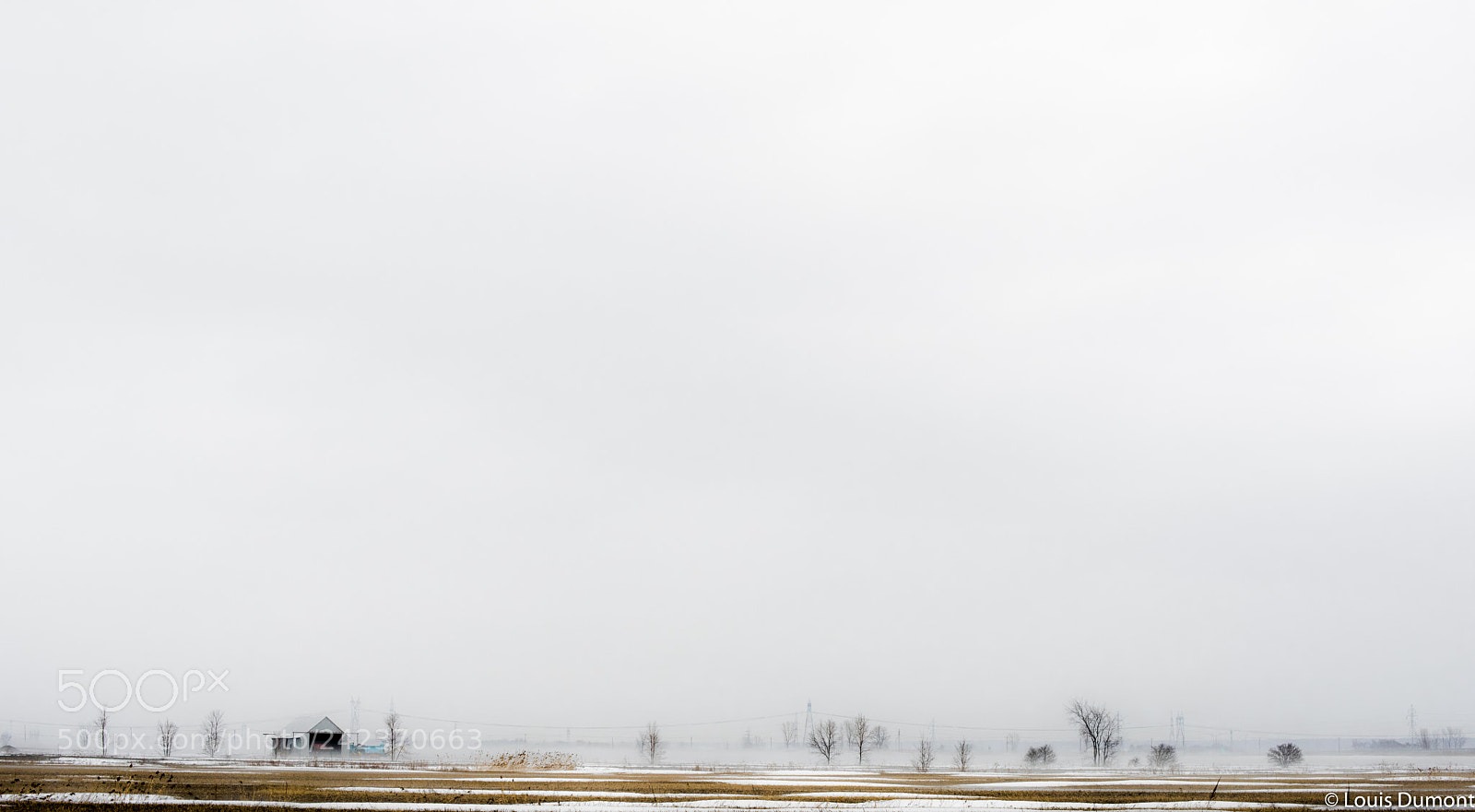 Nikon D810 sample photo. Redoux d'hiver photography