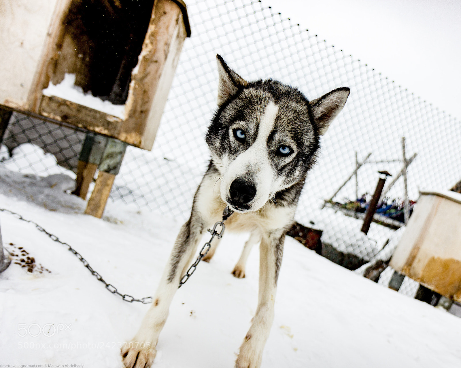 Canon EOS 550D (EOS Rebel T2i / EOS Kiss X4) sample photo. Svalvard photography