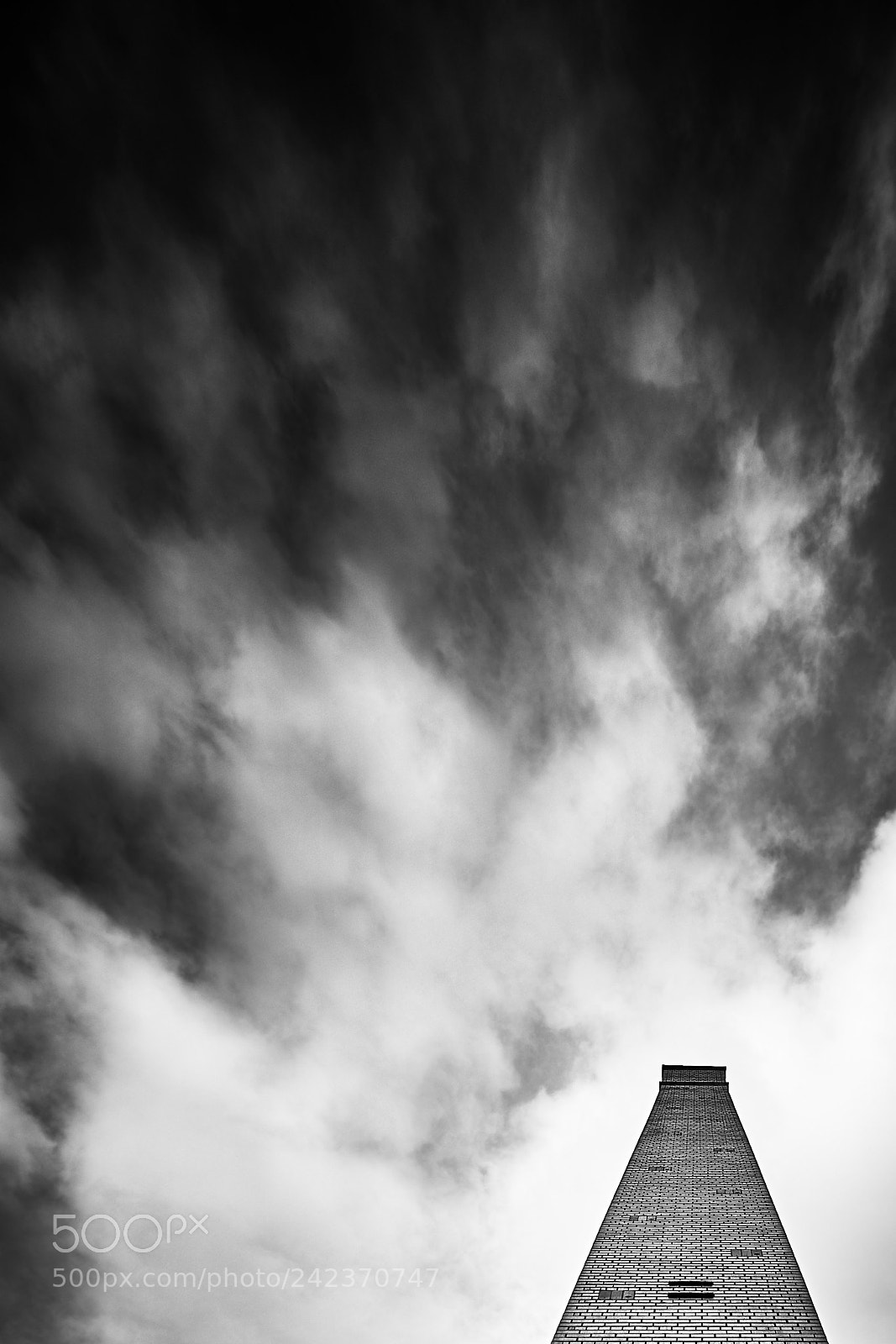 Sony a7R III sample photo. Walthamstow wetlands photography