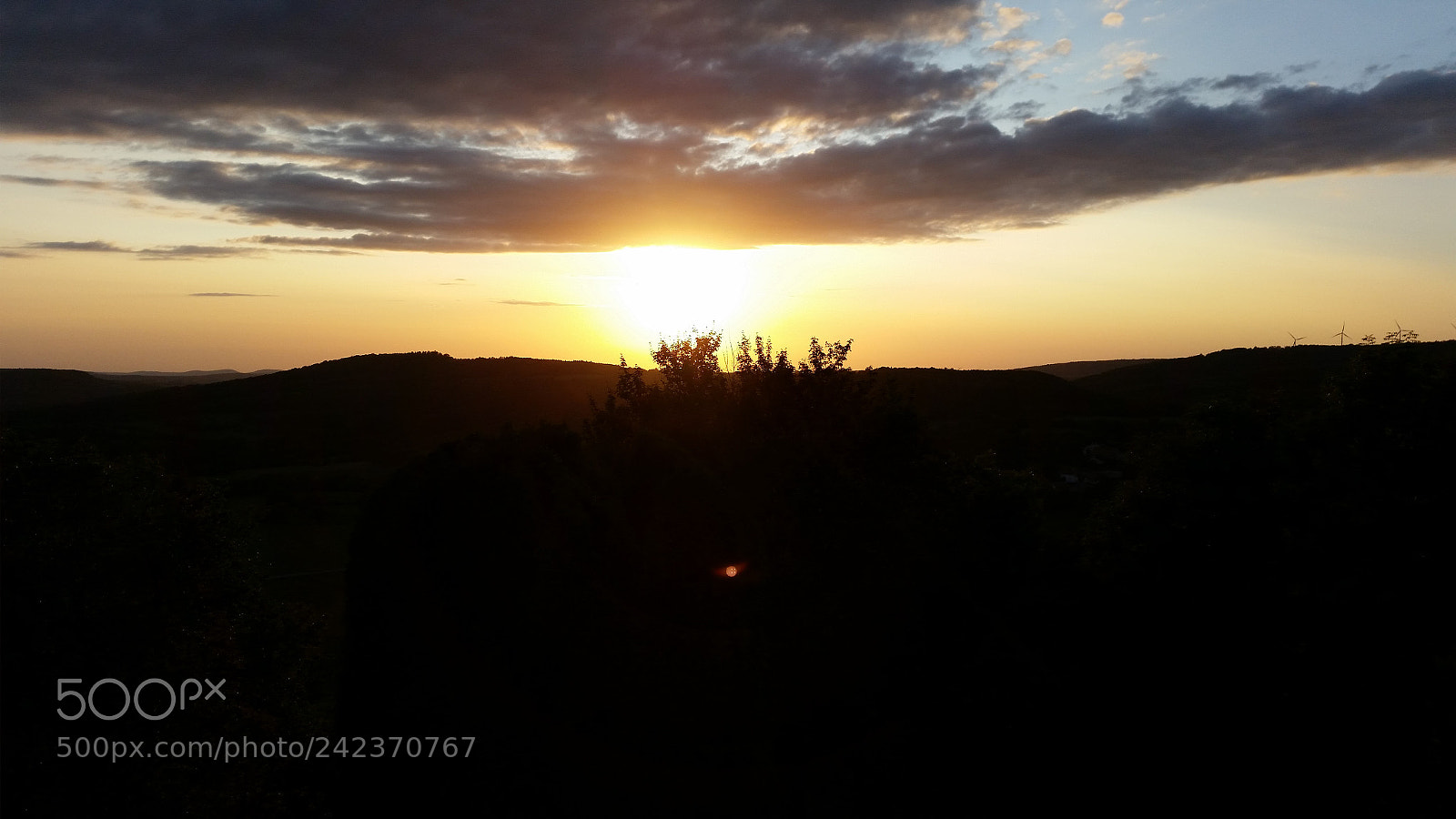 Samsung Galaxy S5 sample photo. Untitled photography