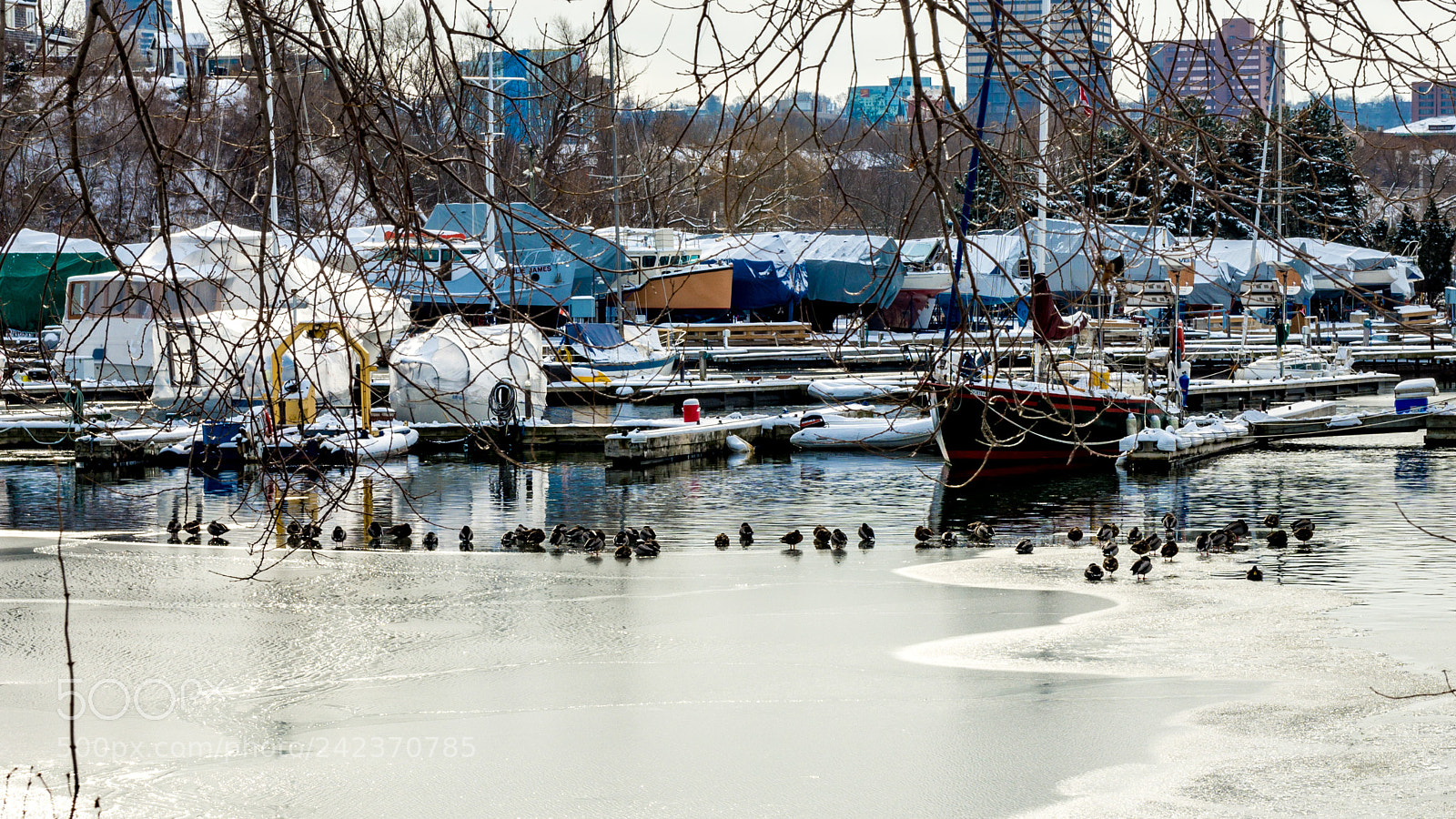 Nikon D7200 sample photo. Winter 120 photography