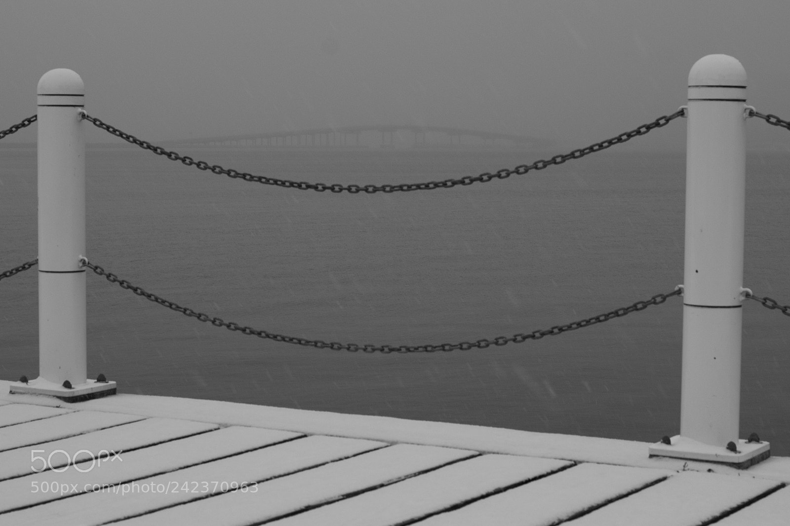 Fujifilm X-E1 sample photo. White walk photography
