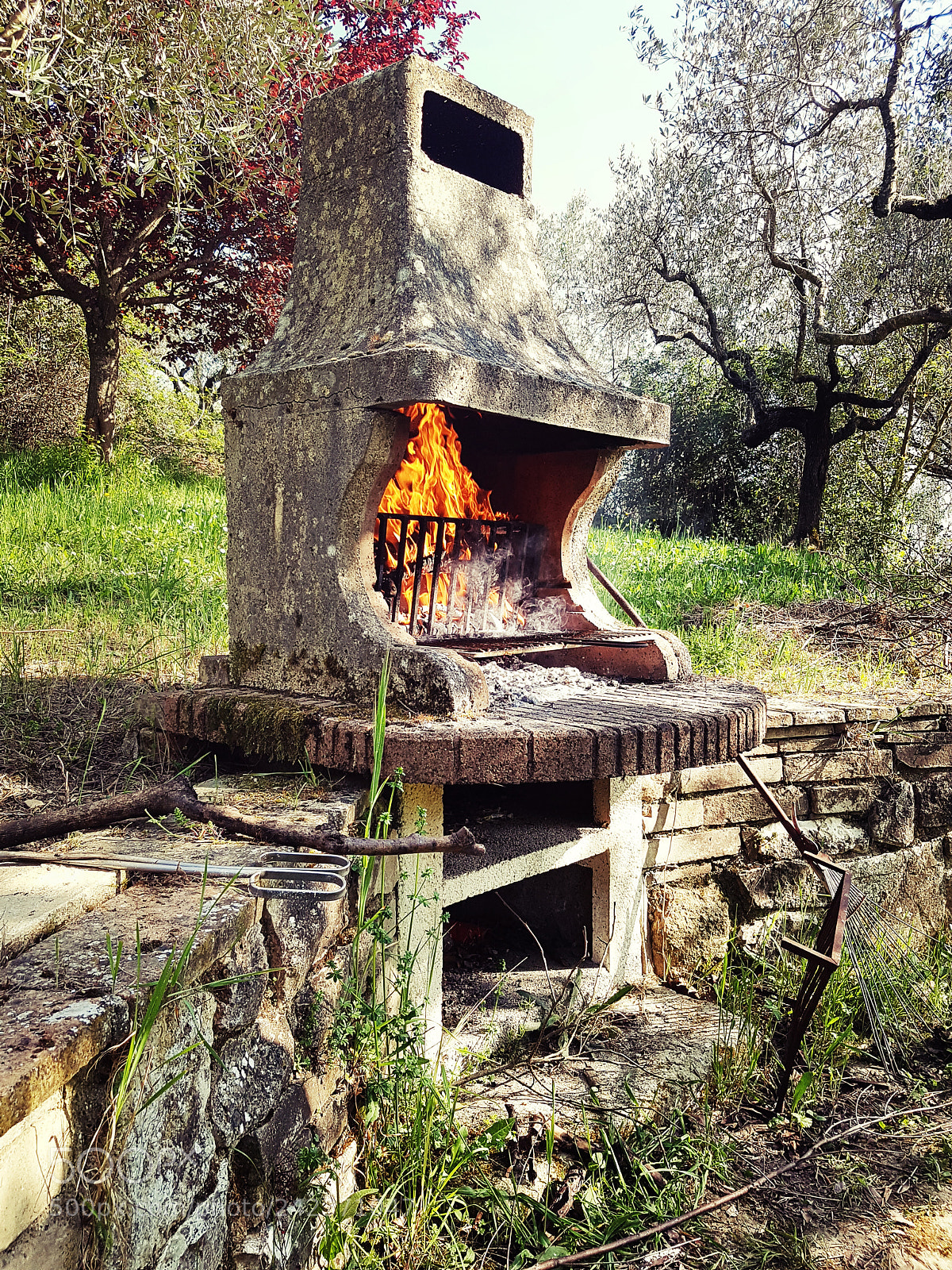 Samsung Galaxy S7 Edge sample photo. Fire in the wood photography