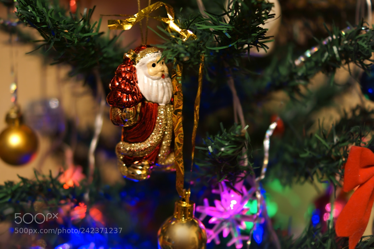 Sony SLT-A65 (SLT-A65V) sample photo. С Новым годом! photography