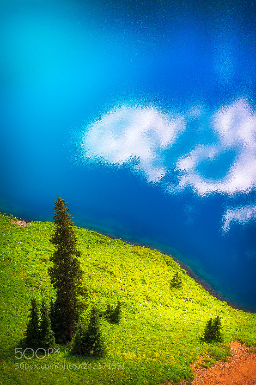 Pentax K-1 sample photo. Hi tree, i'm cloud photography
