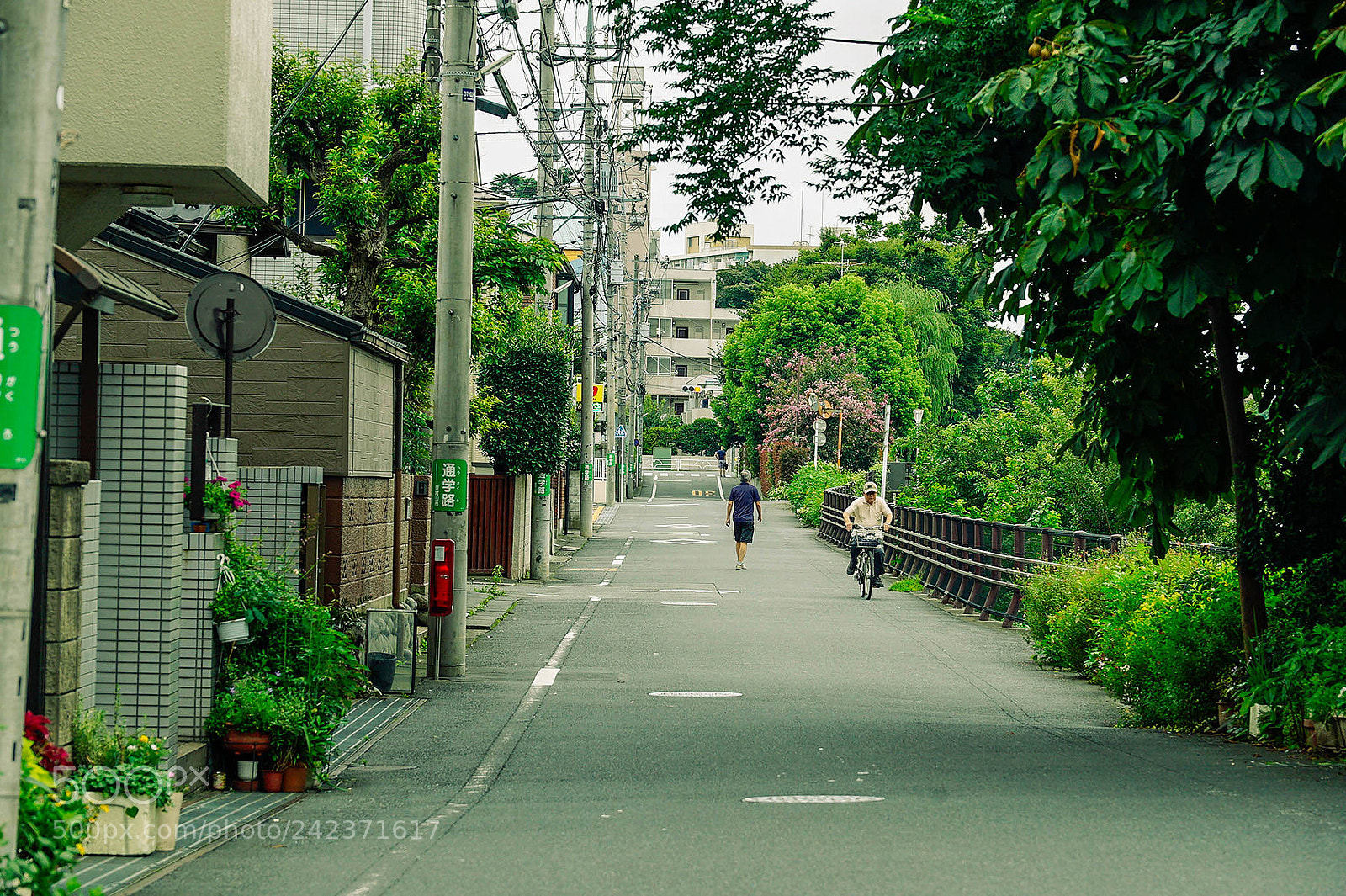 Sony a7S II sample photo. Kumegawa tokyo photography