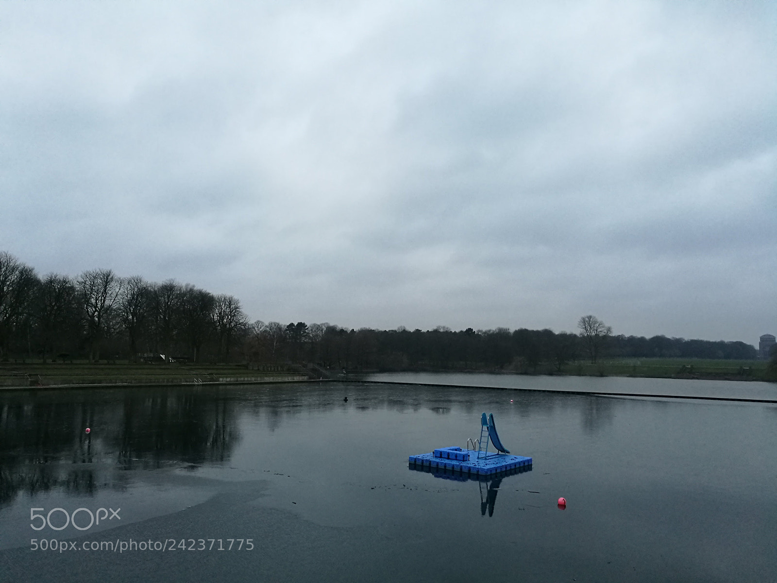 HUAWEI Honor 8 sample photo. Bathing weather for polar photography