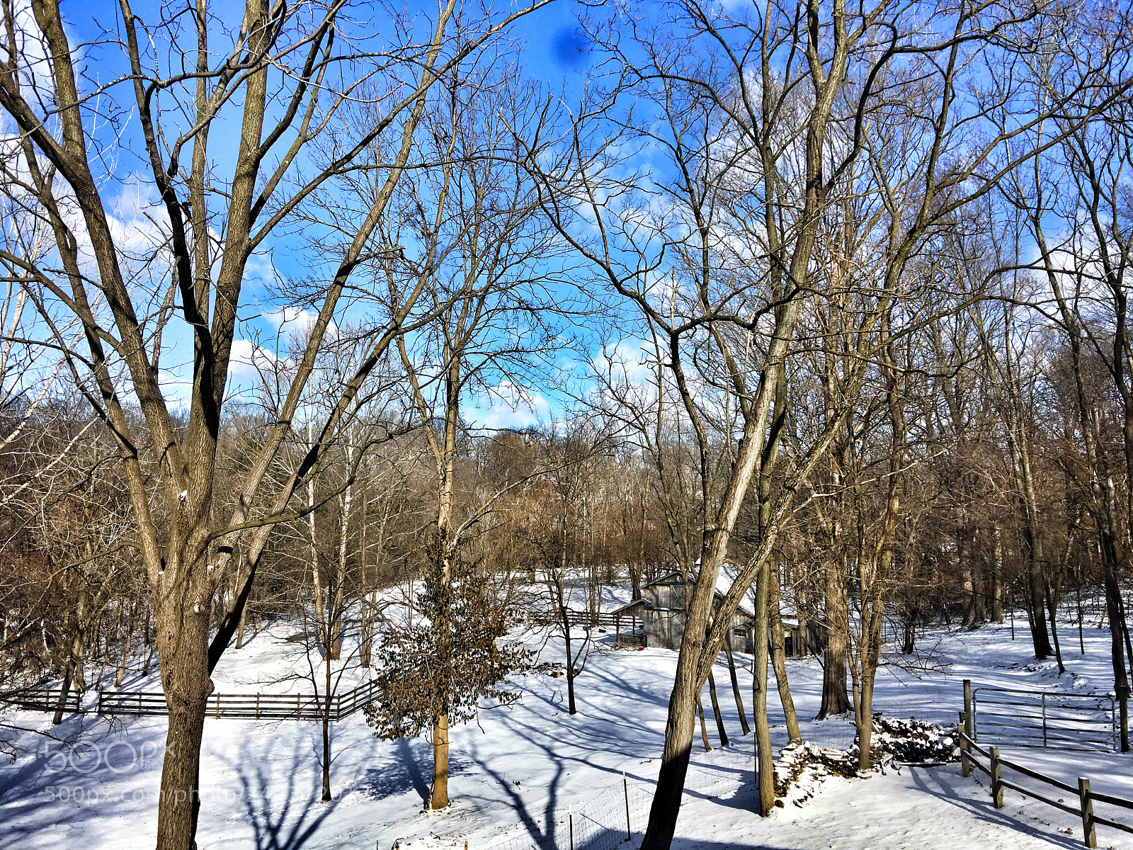 Apple iPhone 6s Plus sample photo. The view never gets photography