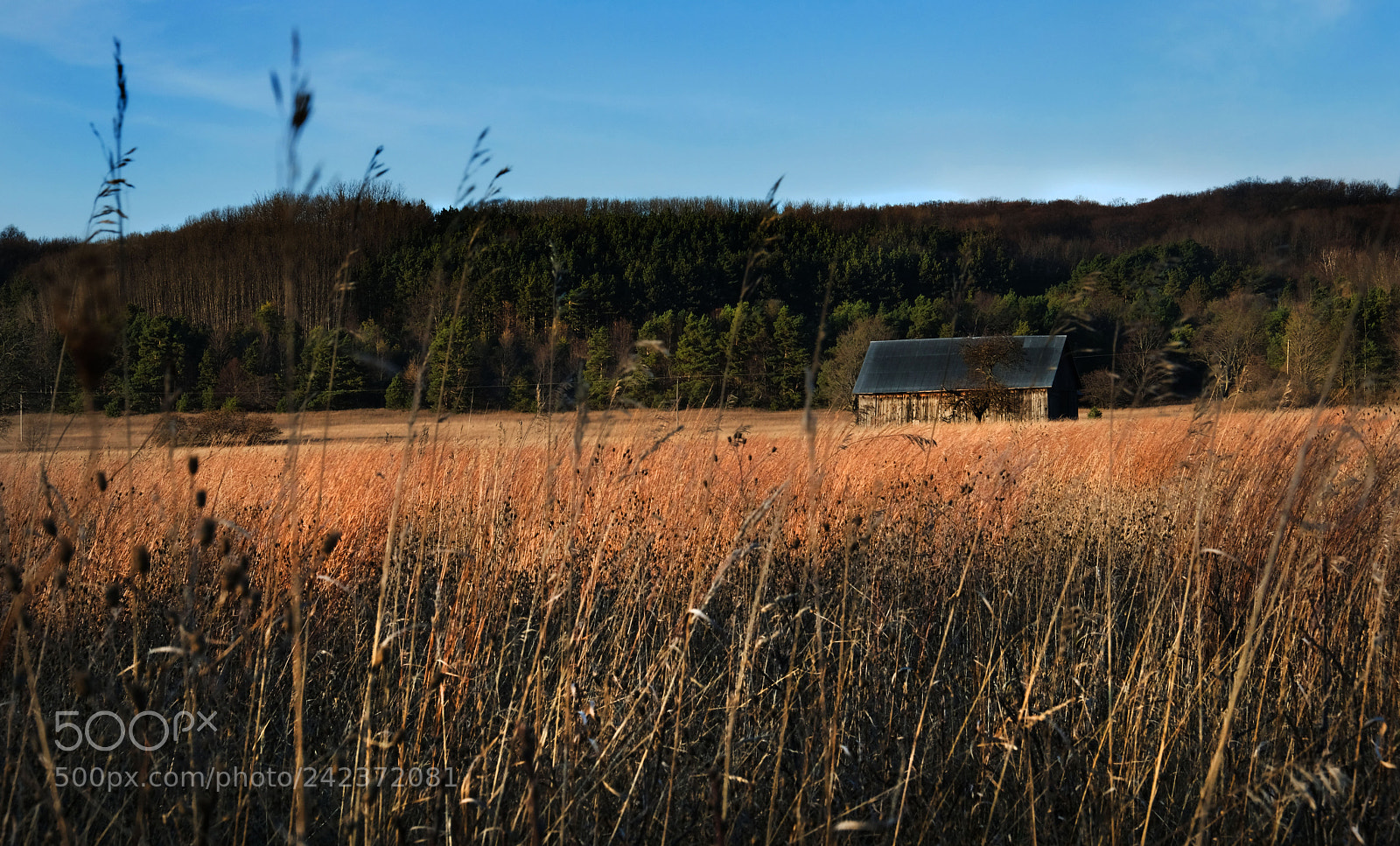 Fujifilm X-T2 sample photo. Barn in autumn photography