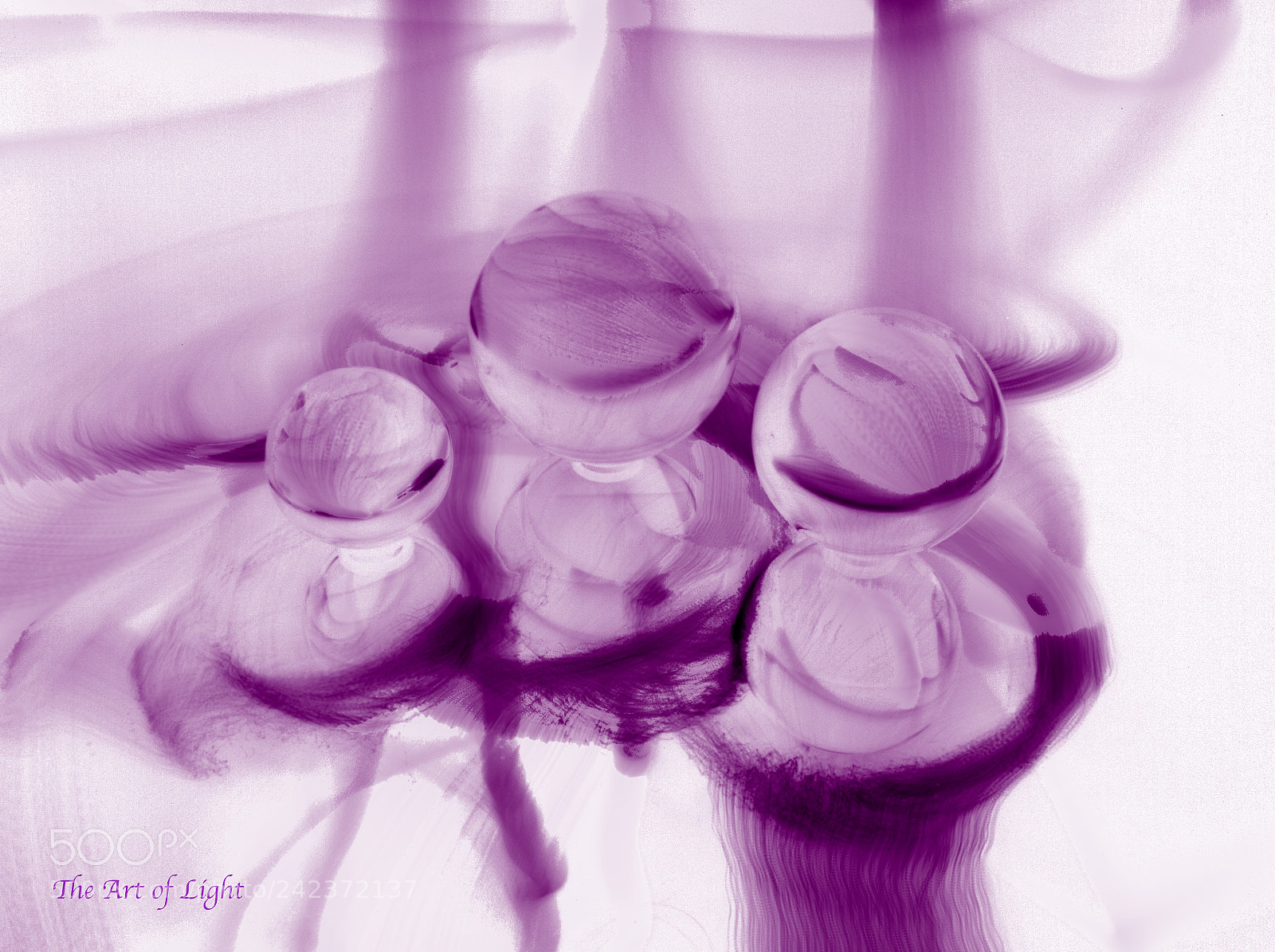 Olympus OM-D E-M1 Mark II sample photo. Purple... photography