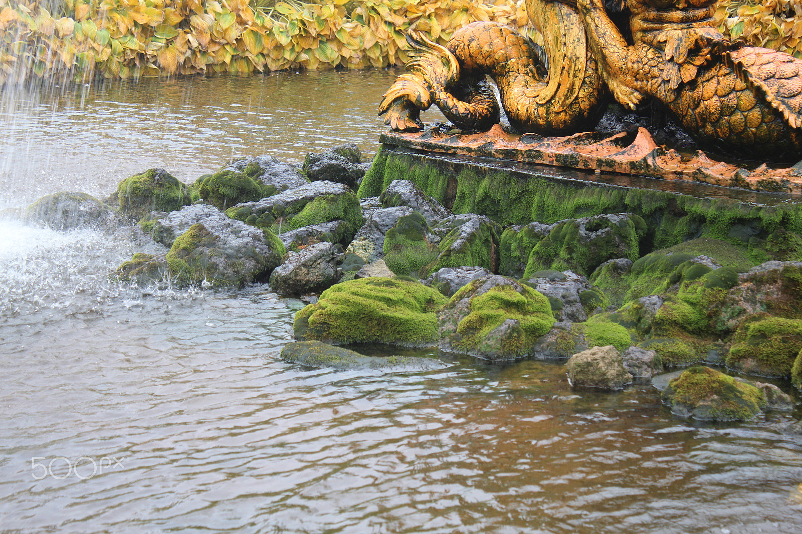 Canon EF-S 18-55mm F3.5-5.6 IS sample photo. Moss photography