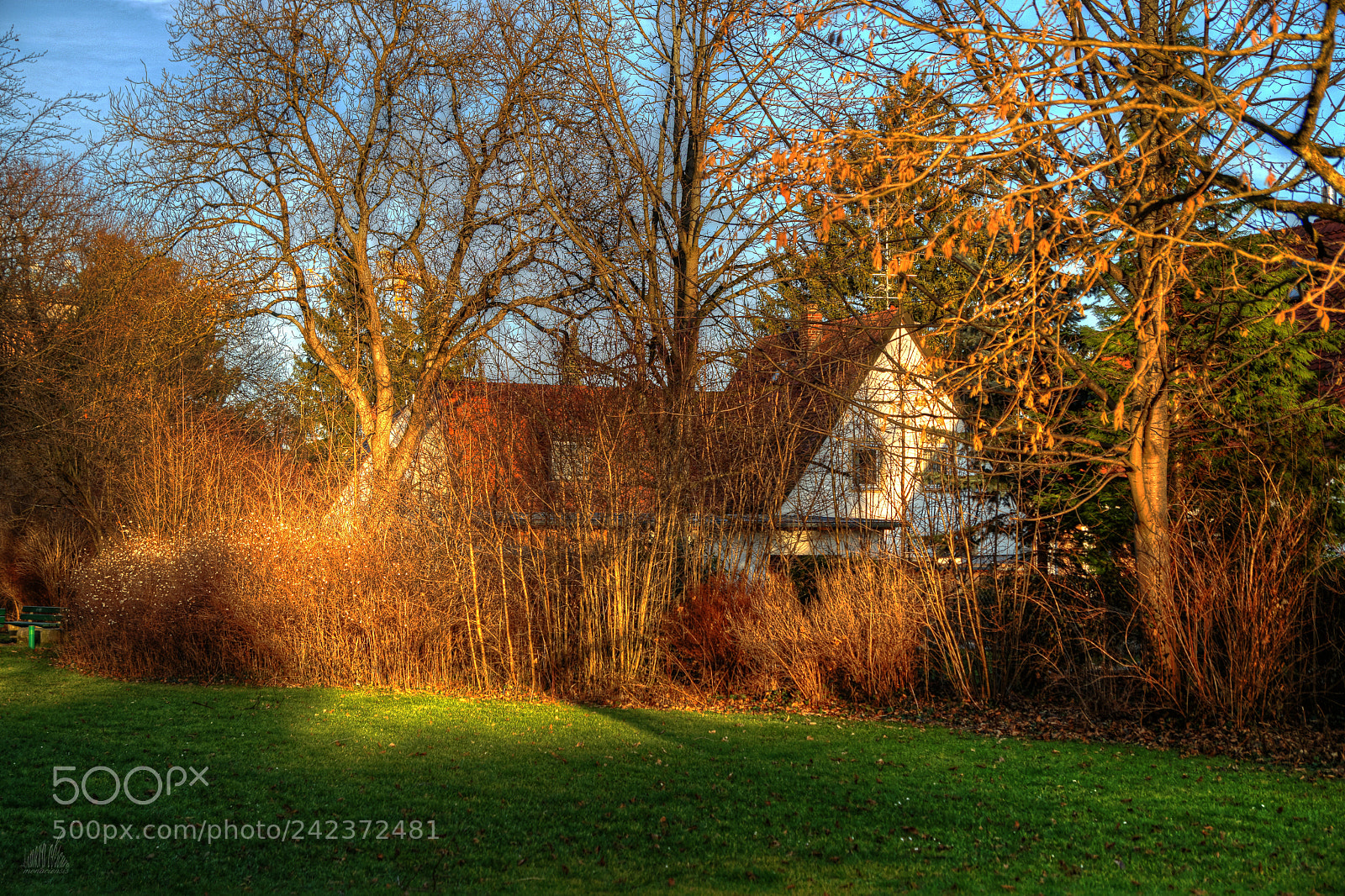 Sony ILCA-77M2 sample photo. Little house at the photography