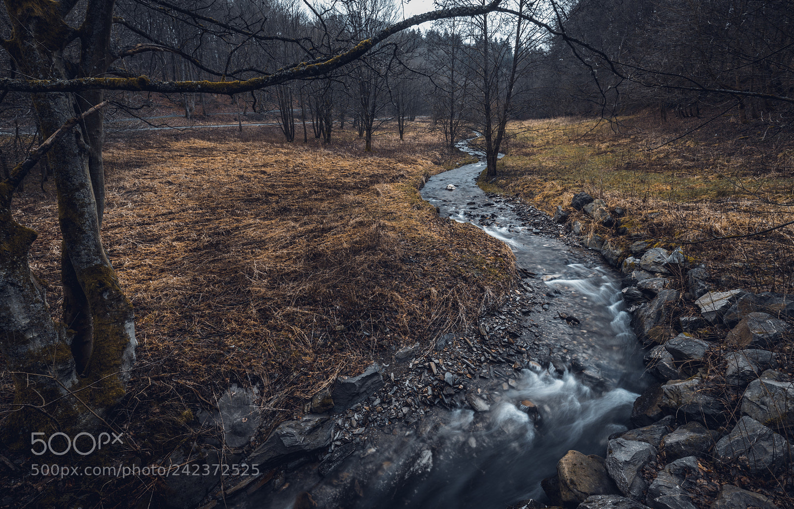 Canon EOS 6D Mark II sample photo. Downhill creek photography