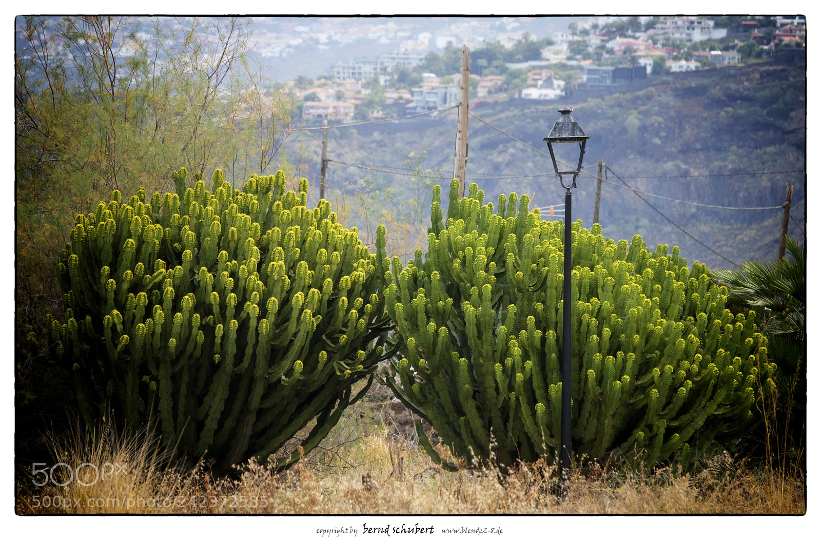 Sony Cyber-shot DSC-RX10 III sample photo. Tenerife landscape photography
