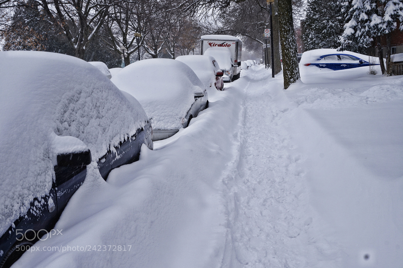 Sony Alpha a5000 (ILCE 5000) sample photo. Another snowfall photography