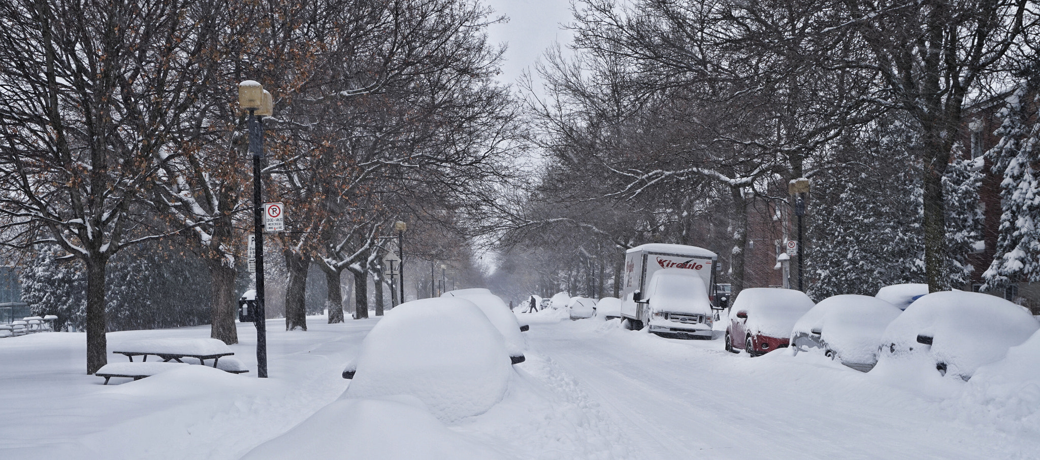 Sony Alpha a5000 (ILCE 5000) + Sony E 18-50mm F4-5.6 sample photo. Another snowfall photography