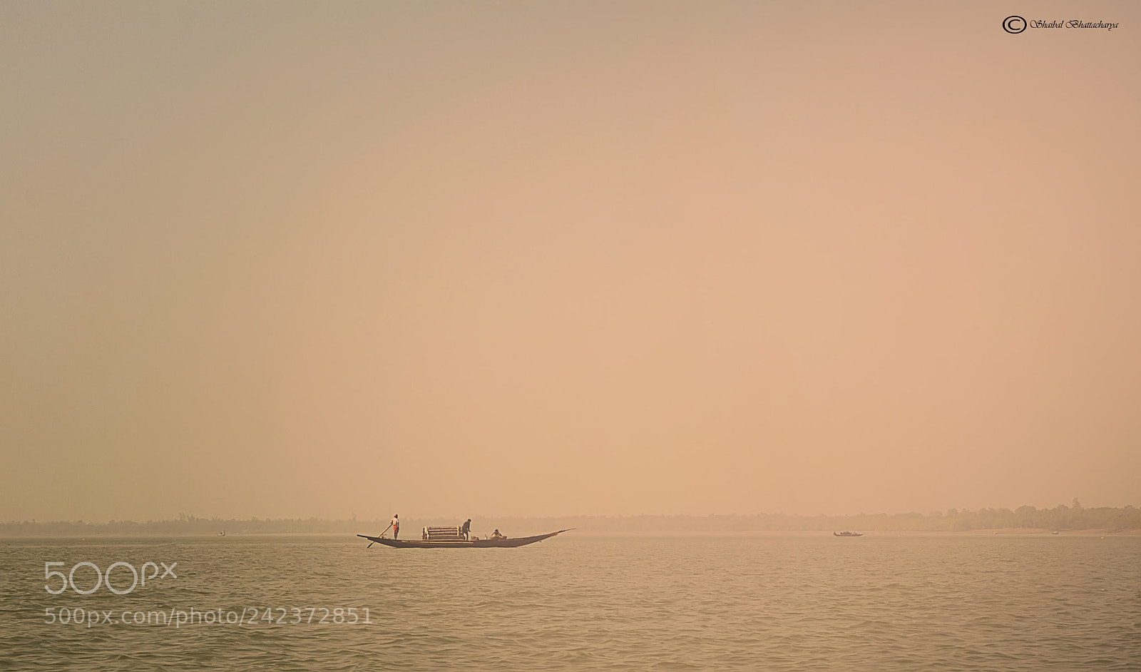 Canon EOS 40D sample photo. Sunderbans photography