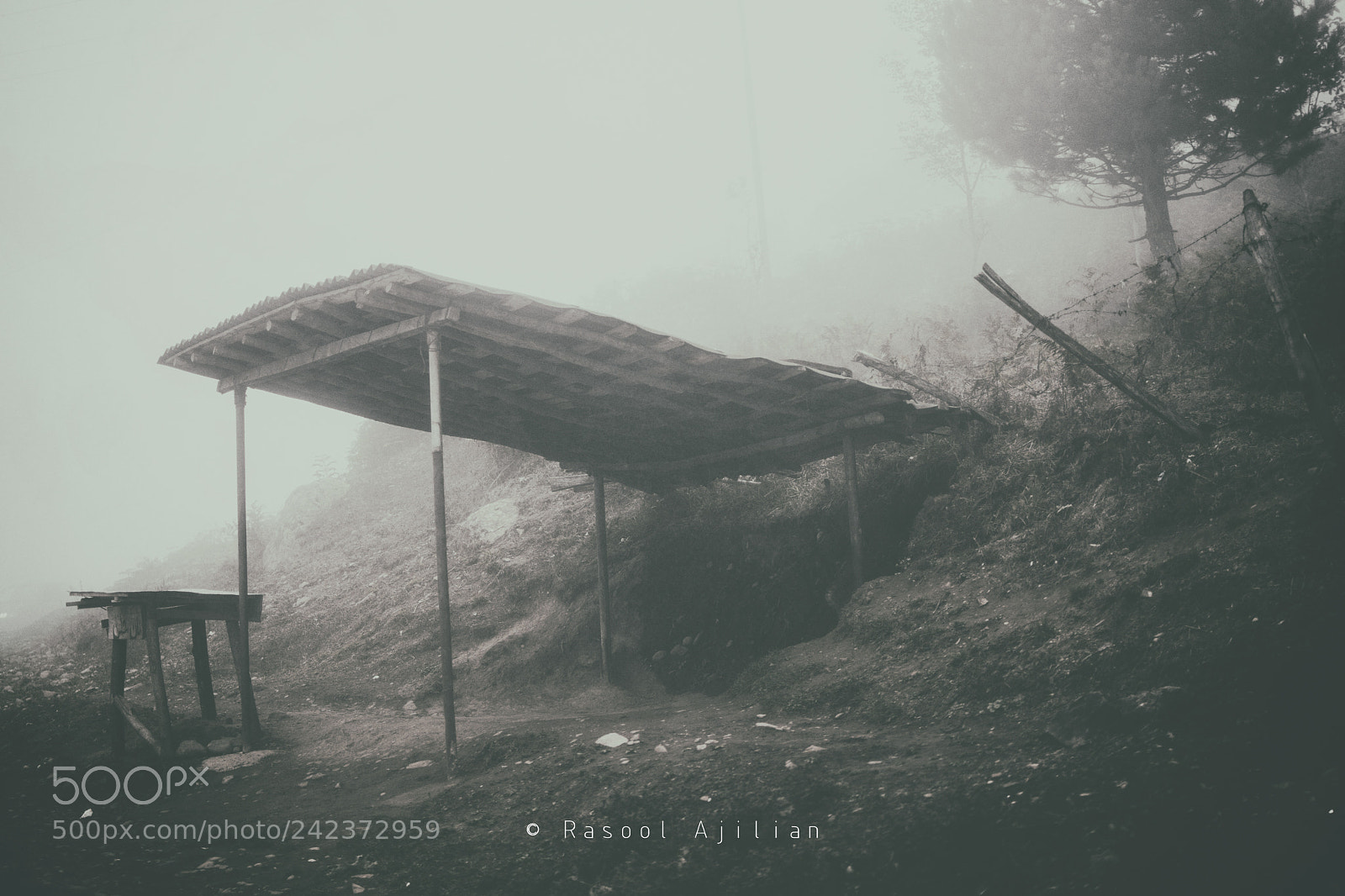 Nikon D7100 sample photo. Shelter photography
