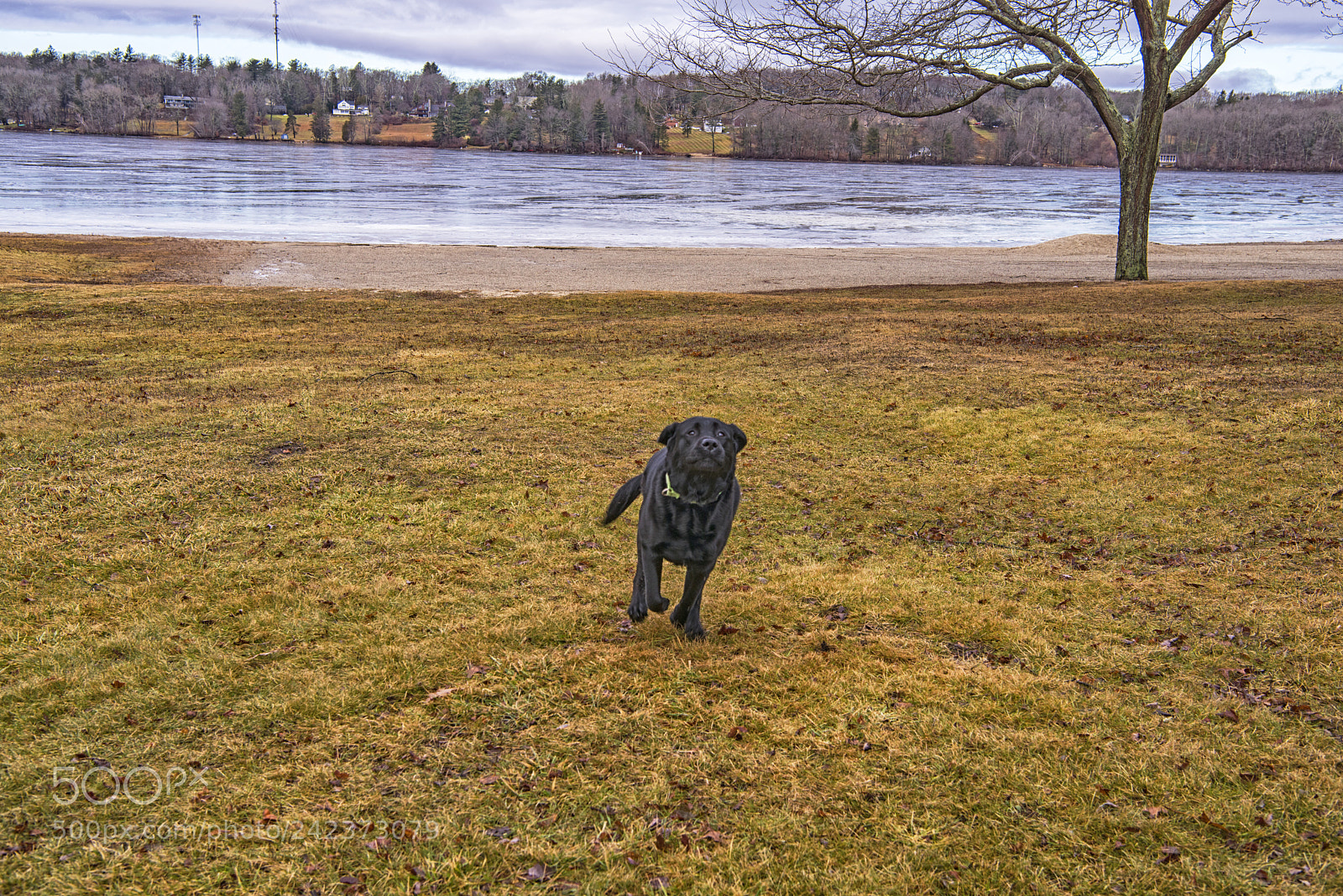 Nikon D810 sample photo. Summit running at bolton photography