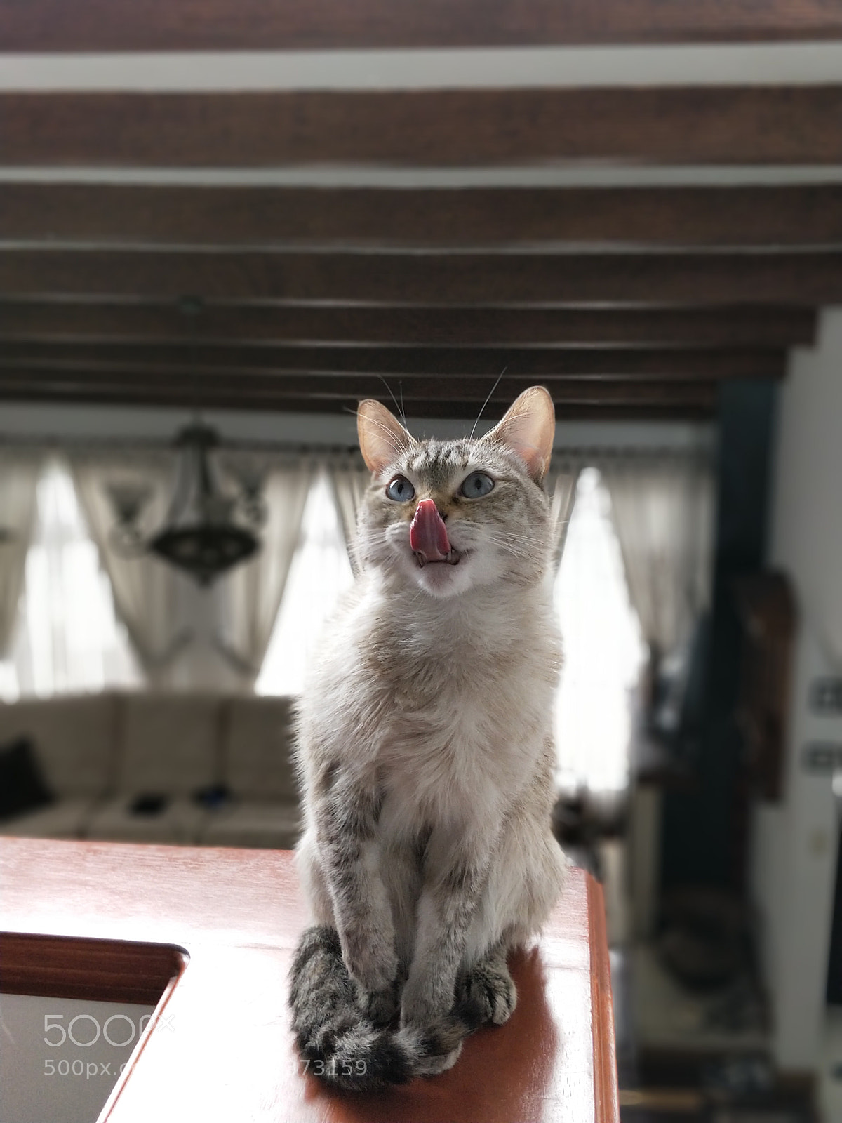 OnePlus 5 sample photo. Just after a bath photography